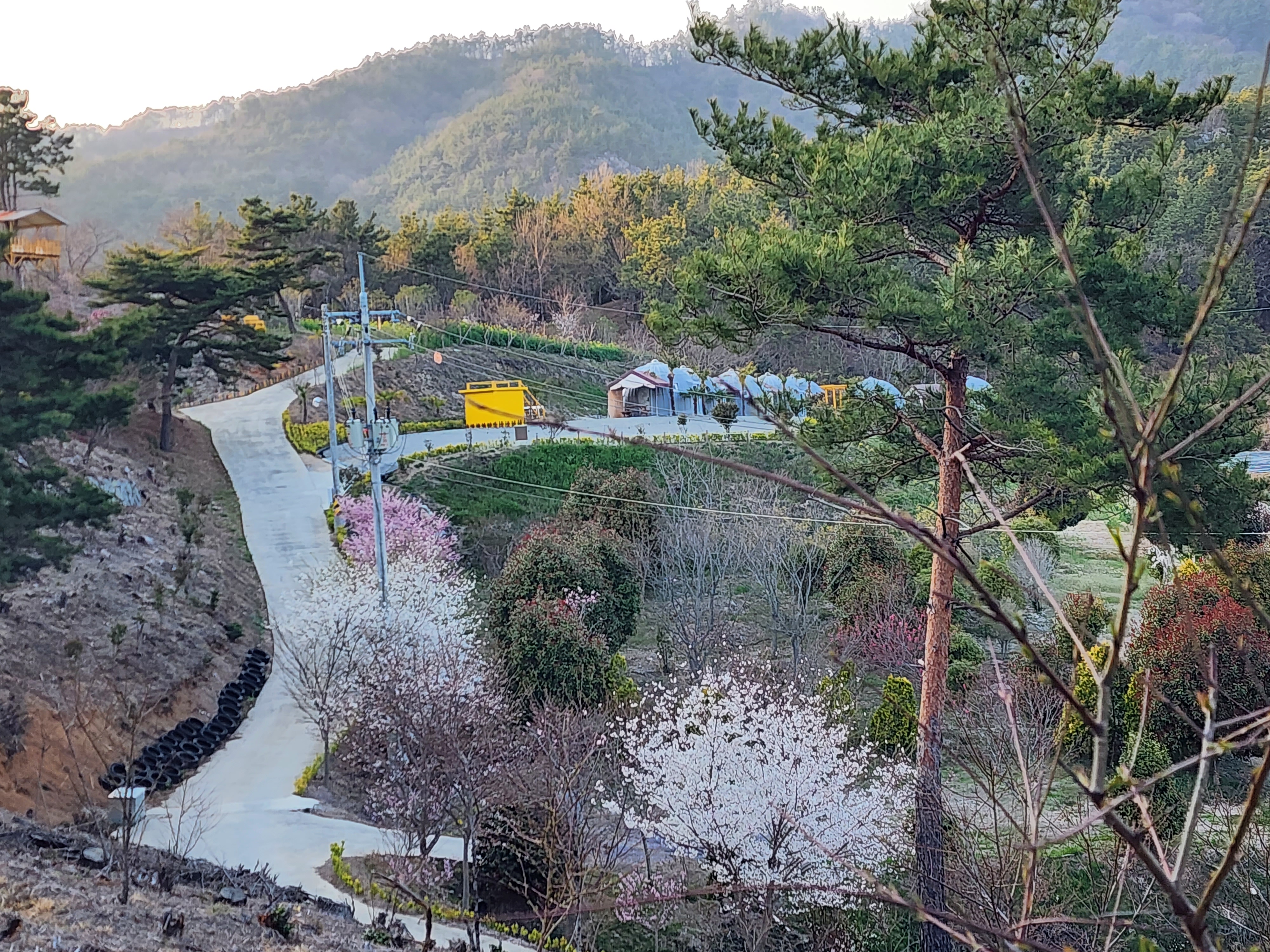 더마루 야영장