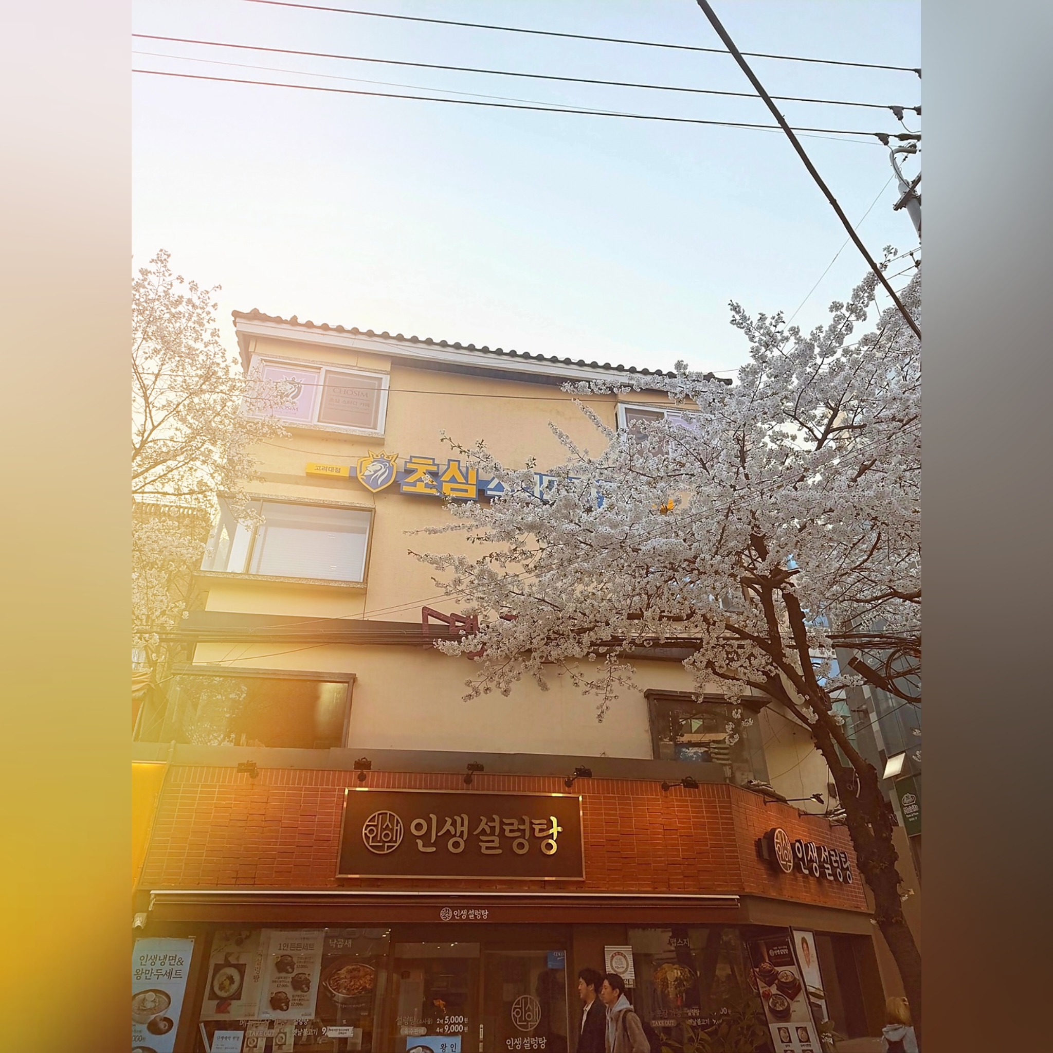 초심스터디카페 고려대점 내부 또는 관련 모습