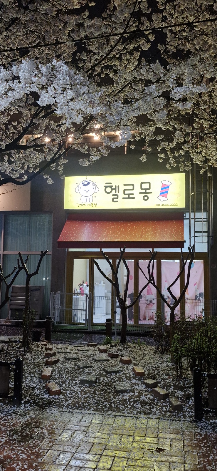 헬로몽 대표 이미지