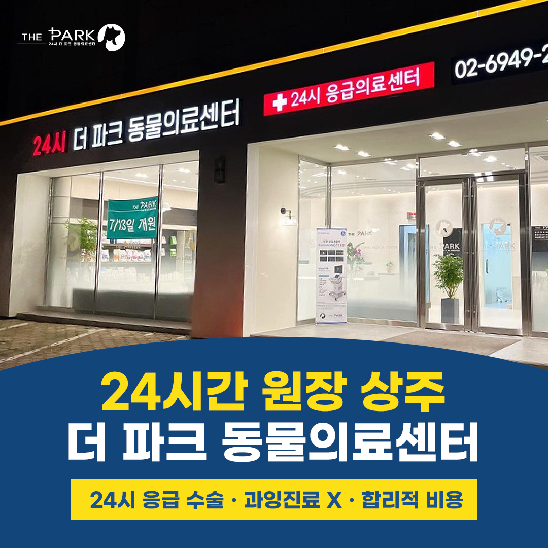 24시 더파크동물의료센터