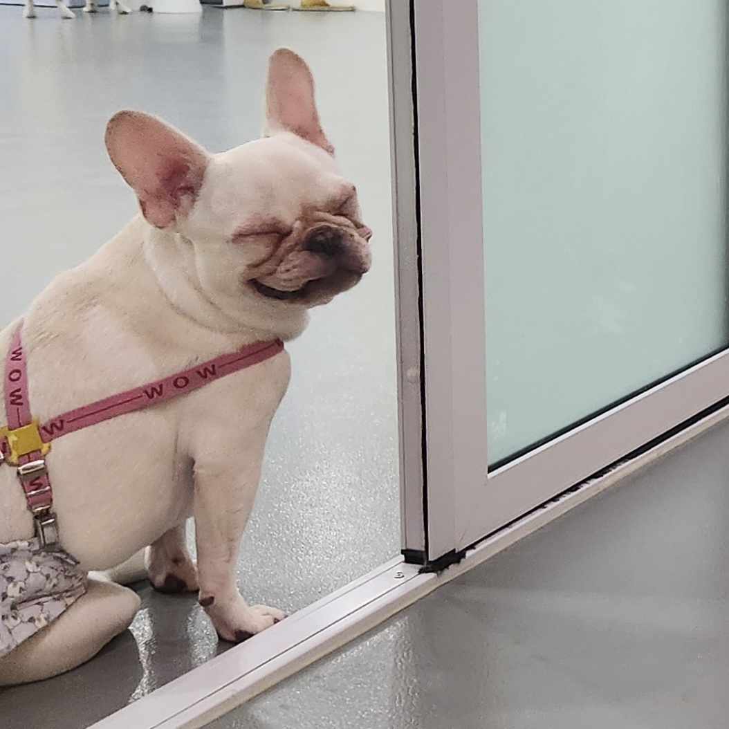 옐레드 광명점 대표 이미지