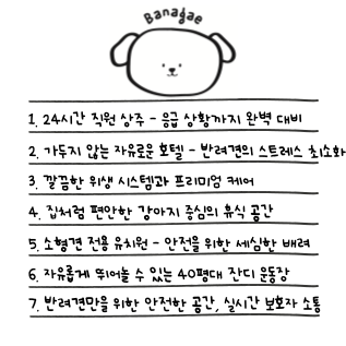 바나개 대표 이미지