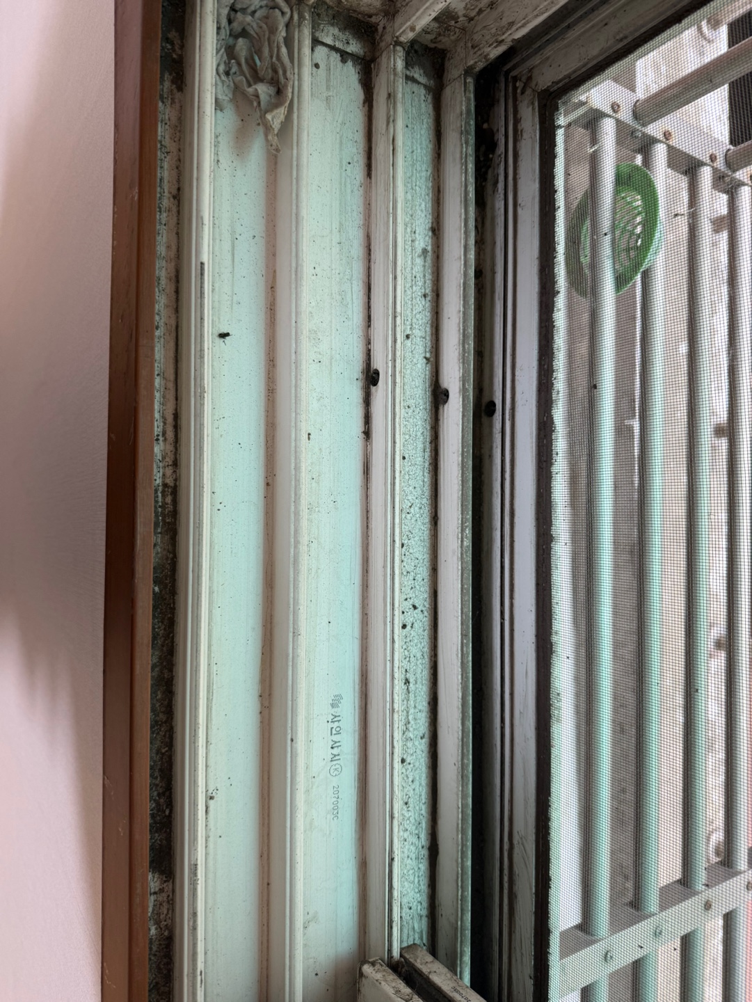 클린카우 대표 이미지