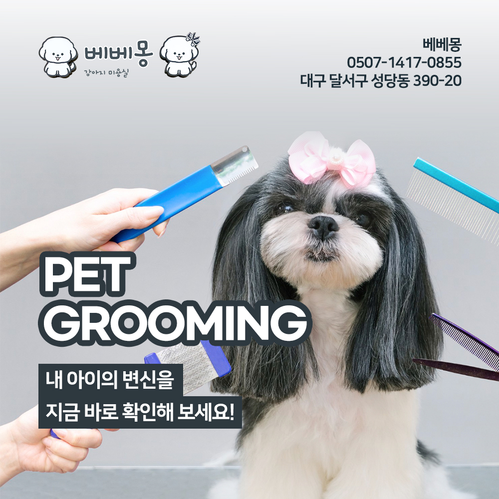 베베몽 대표 이미지