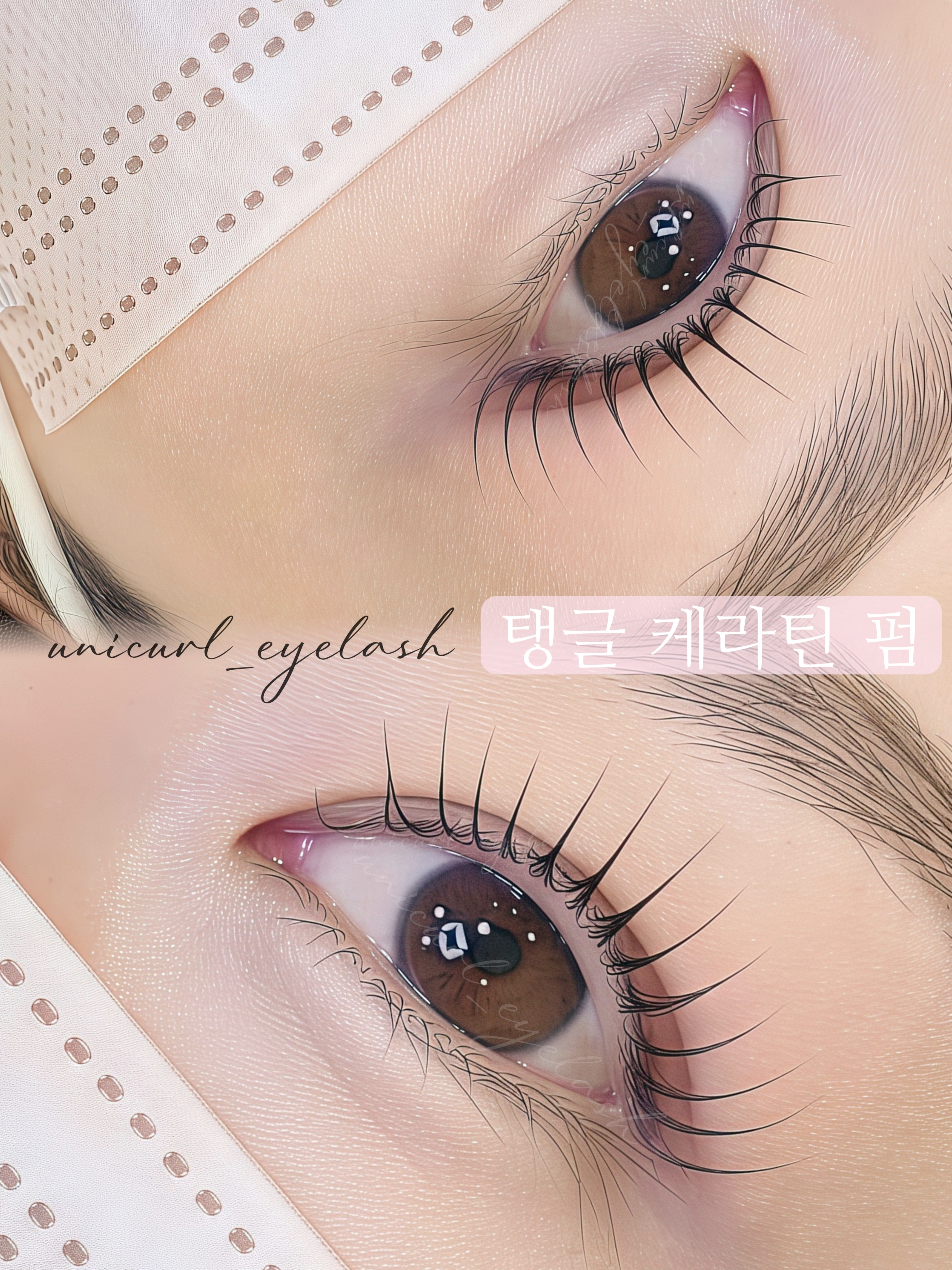 유니컬속눈썹 대표 이미지