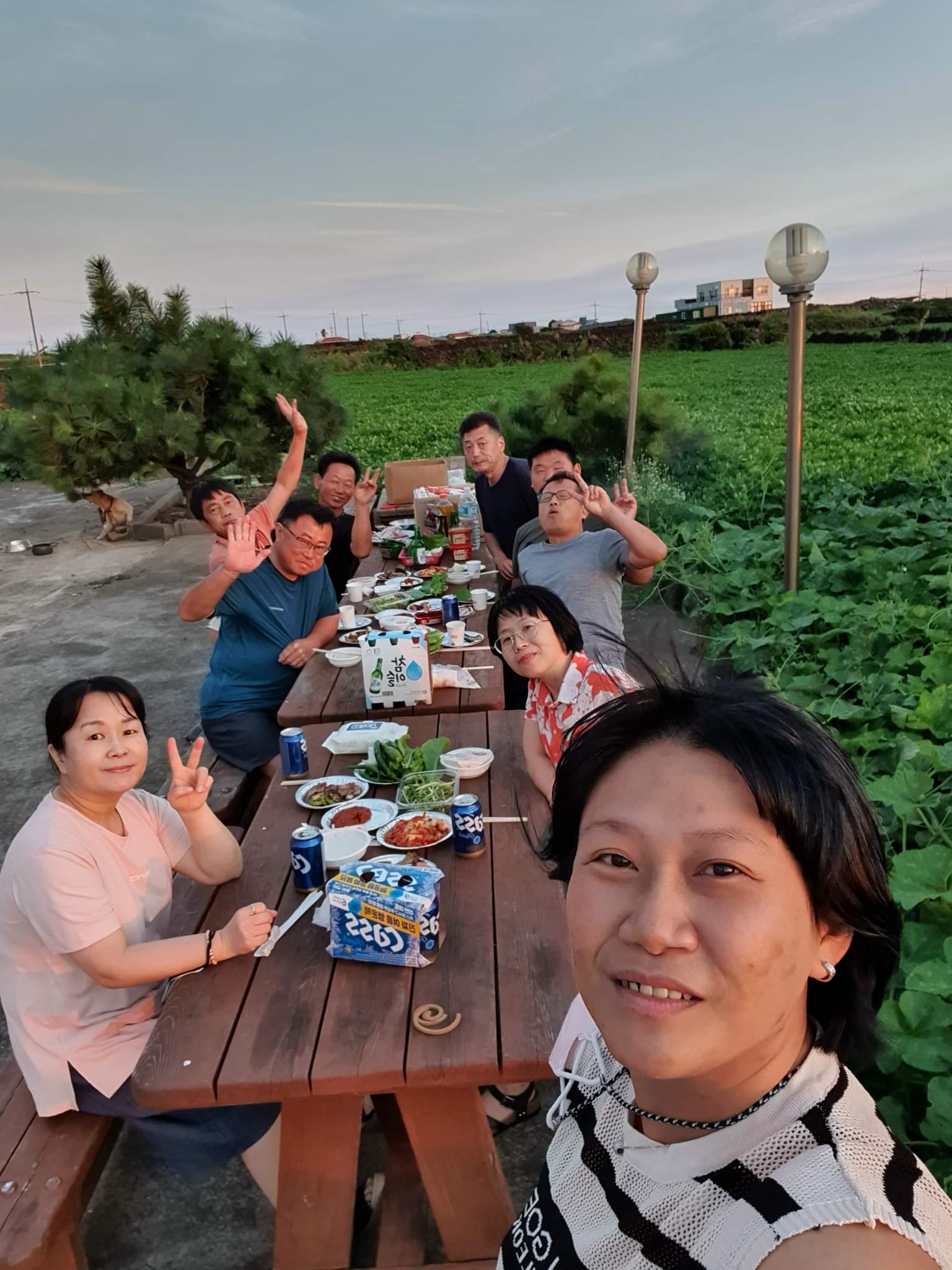 까페비엣