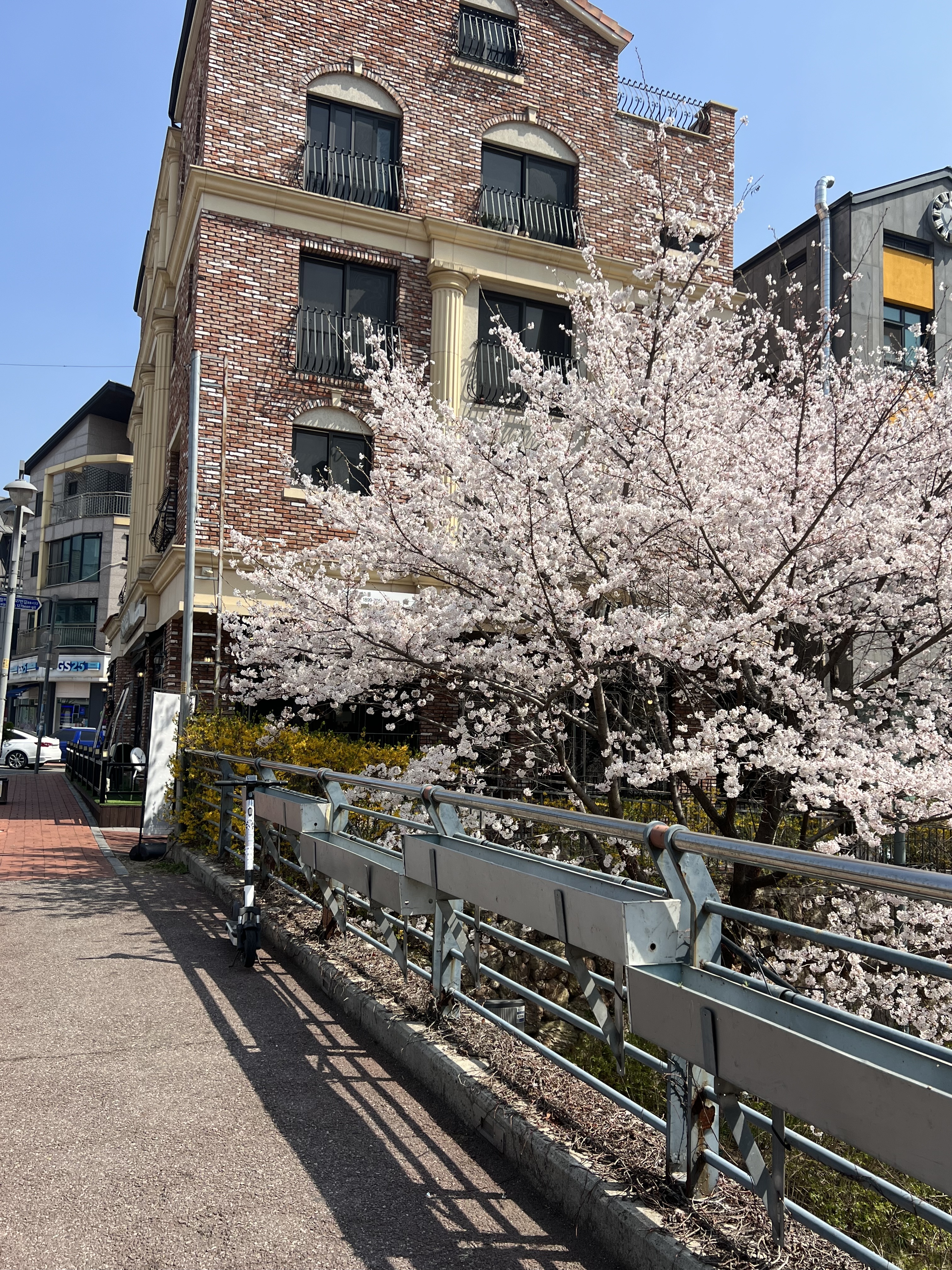 블레스롤 광교카페거리점 내부 또는 관련 모습