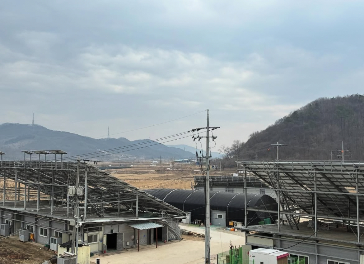 삼도농원