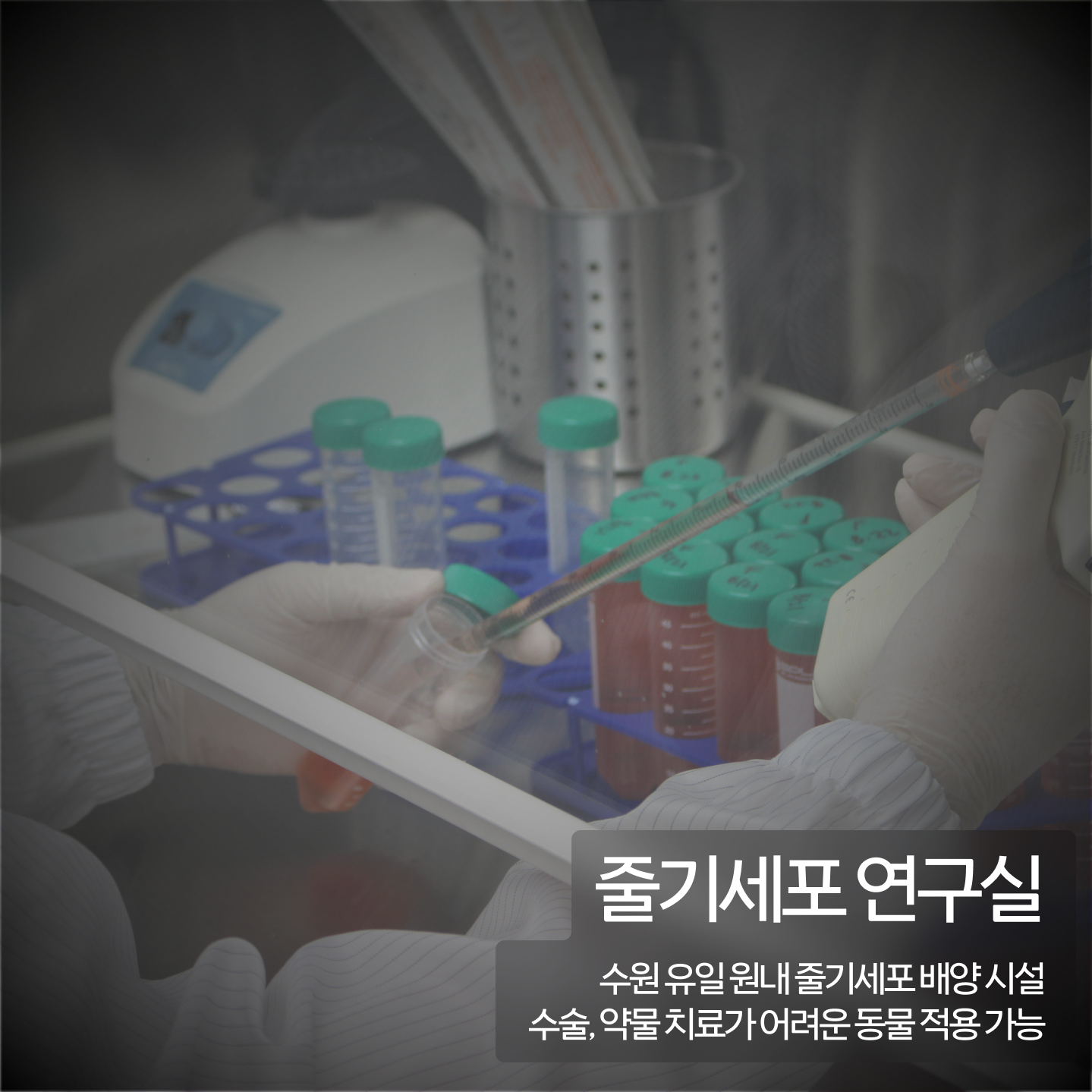 돌봄 동물병원 대표 이미지