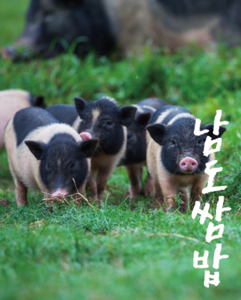 남도쌈밥 롯데백화점 광주점