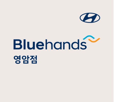 블루핸즈 영암점