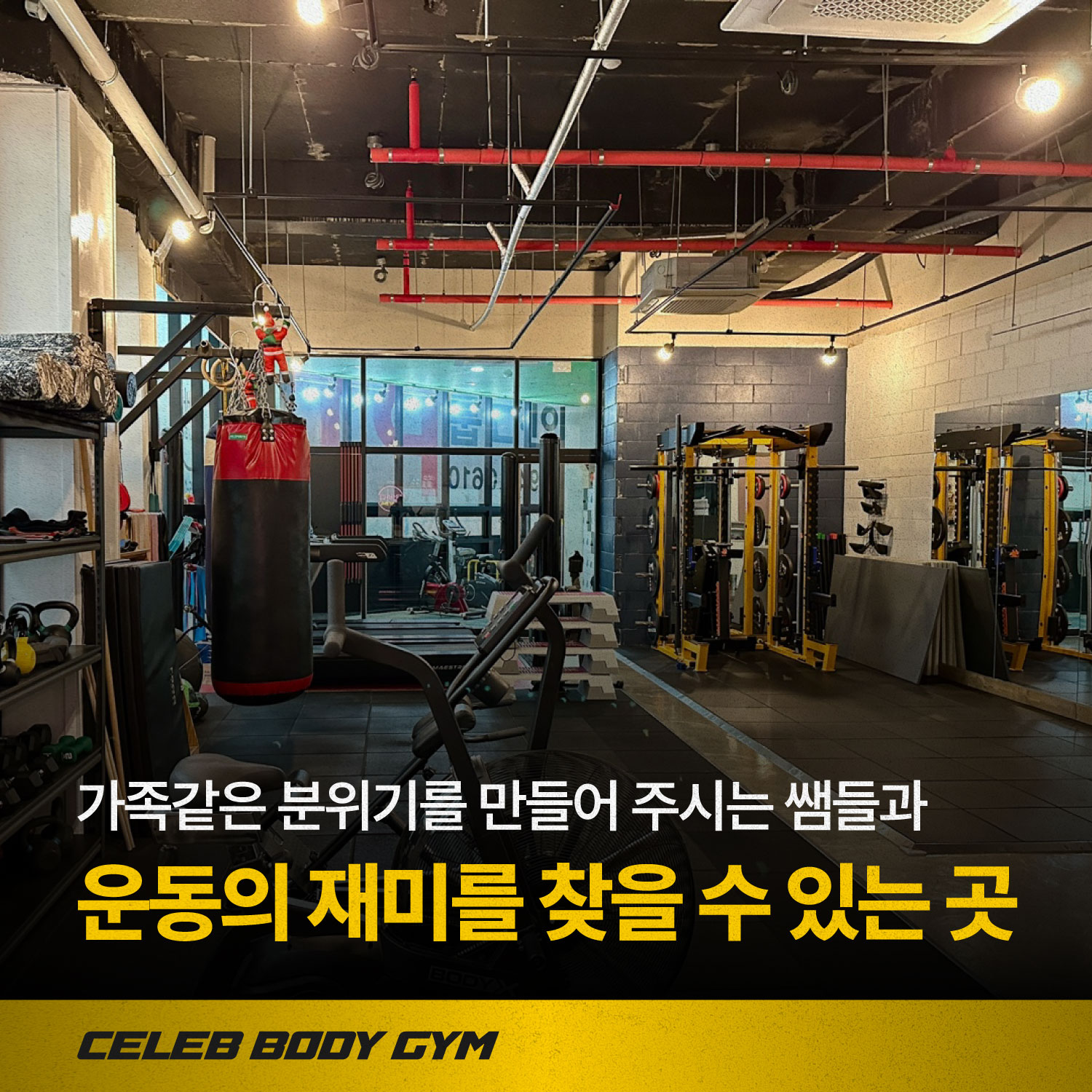 경기도 파주시 책향기로 복싱체육관 셀럽바디 내부 모습 2