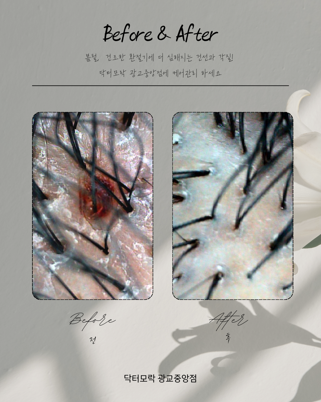 닥터모락 광교중앙역점 대표 이미지
