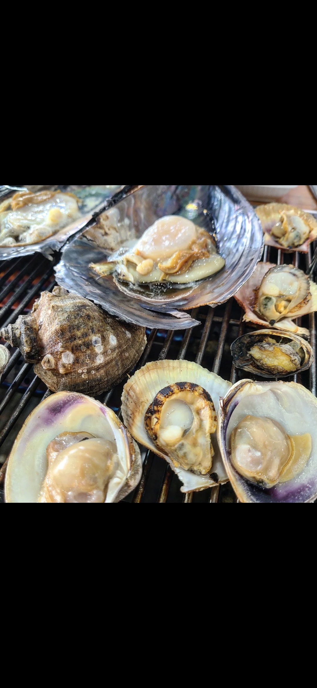삽교조개마을