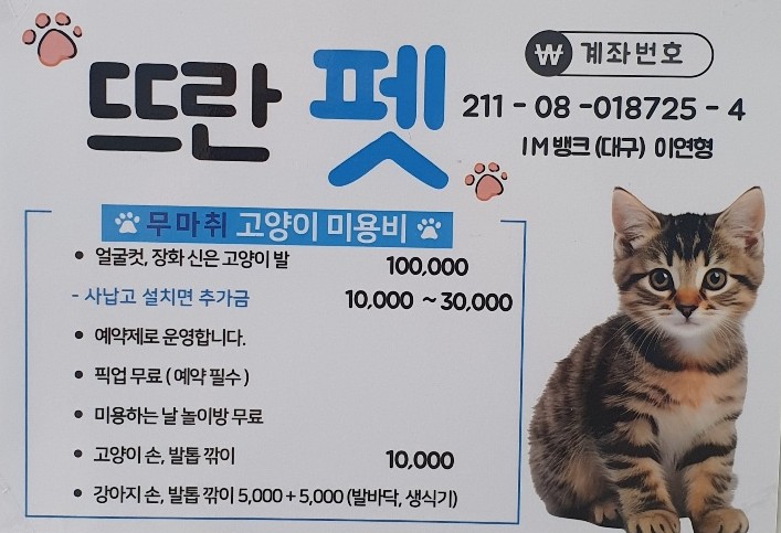 뜨란 멍&냥 대표 이미지