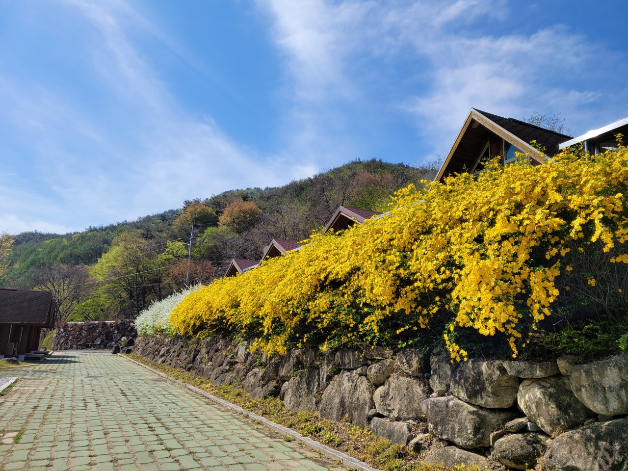 함양용추오토캠핑장
