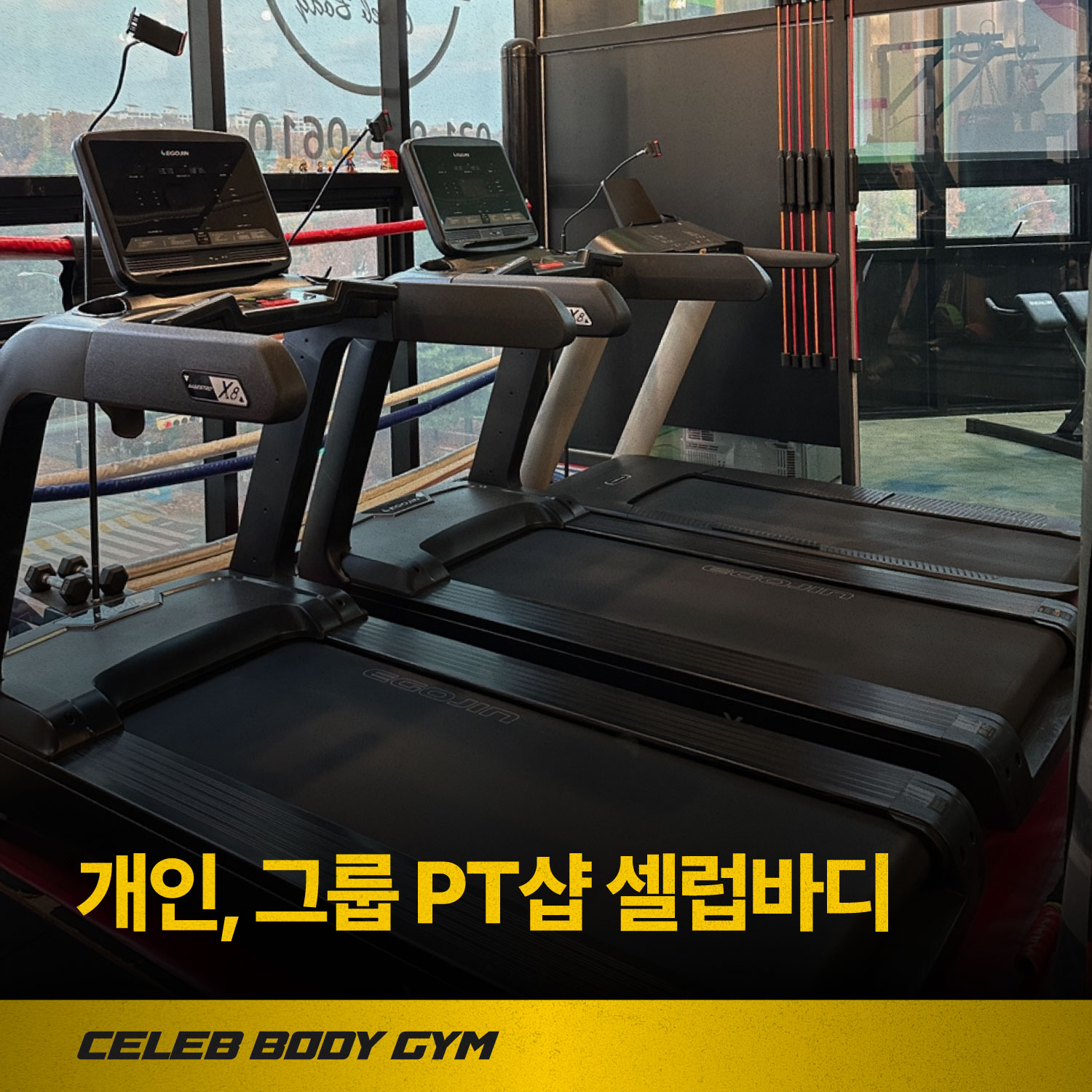 경기도 파주시 책향기로 복싱체육관 셀럽바디 내부 모습 3