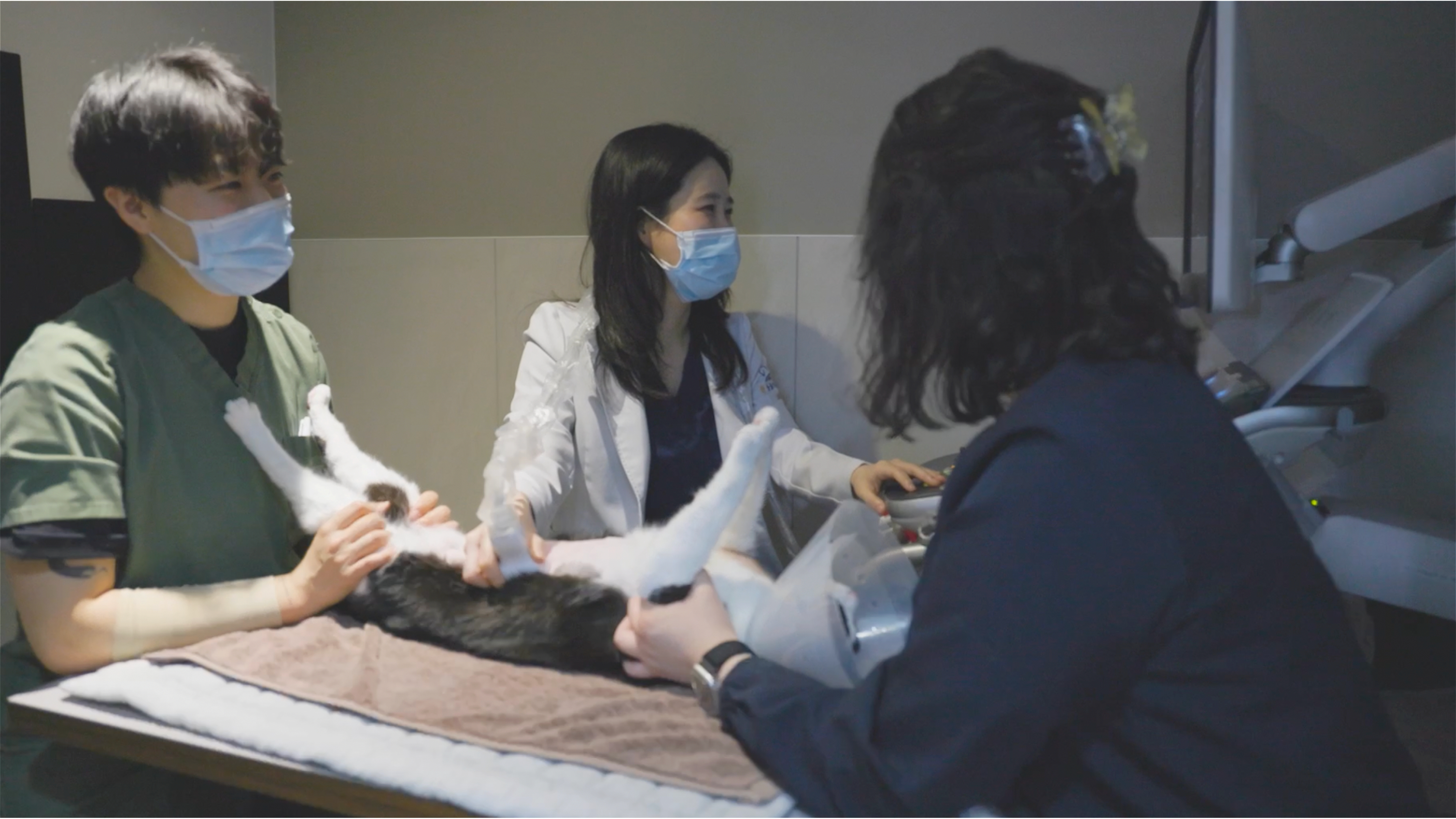 24시 품 동물의료센터 대표 이미지