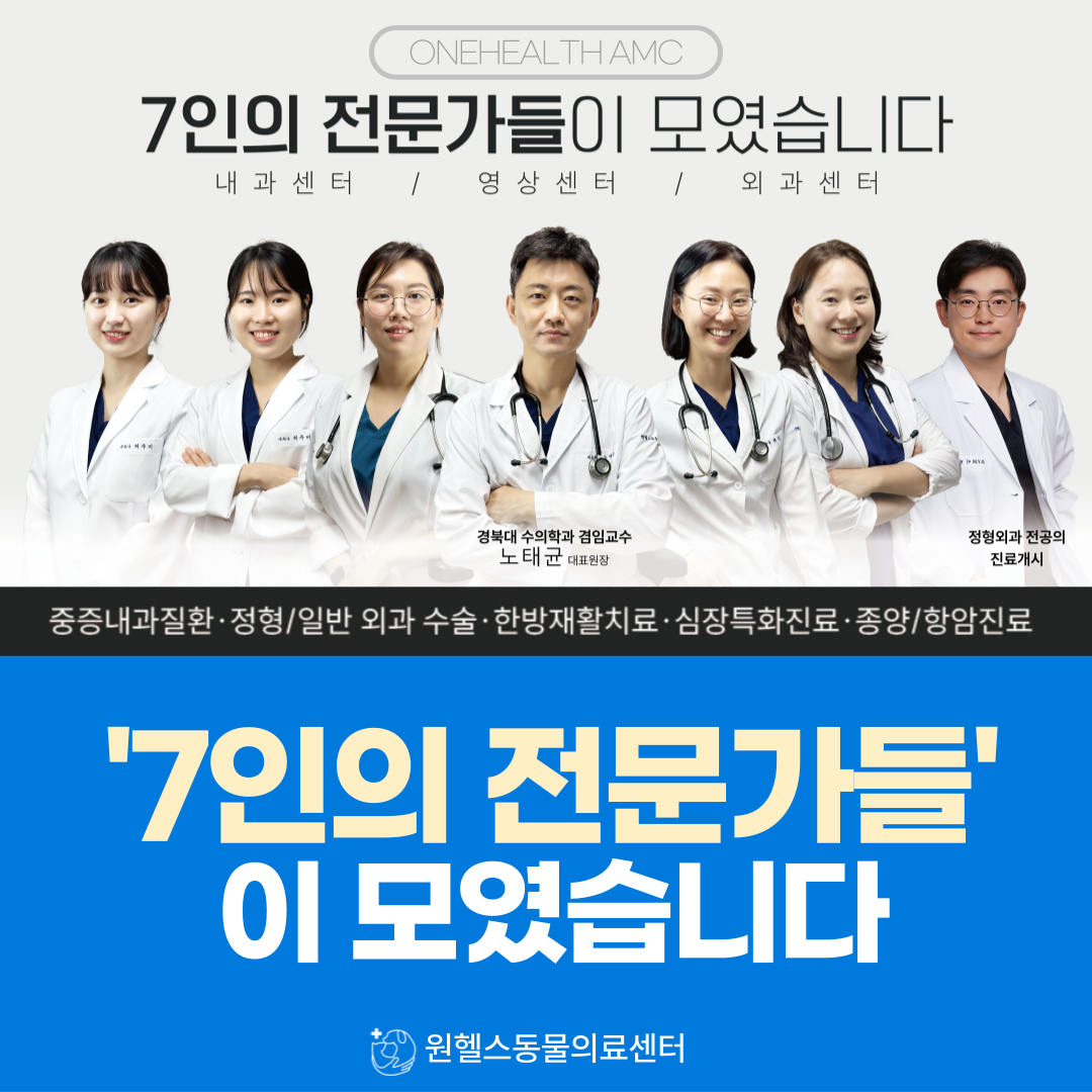 울산원헬스동물병원