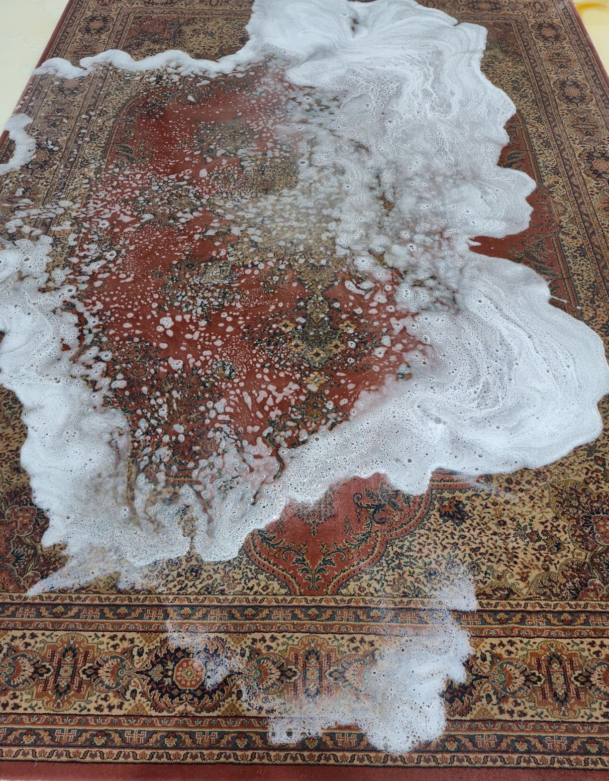 매직카페트클리닝 종로은평서대문 대표 이미지