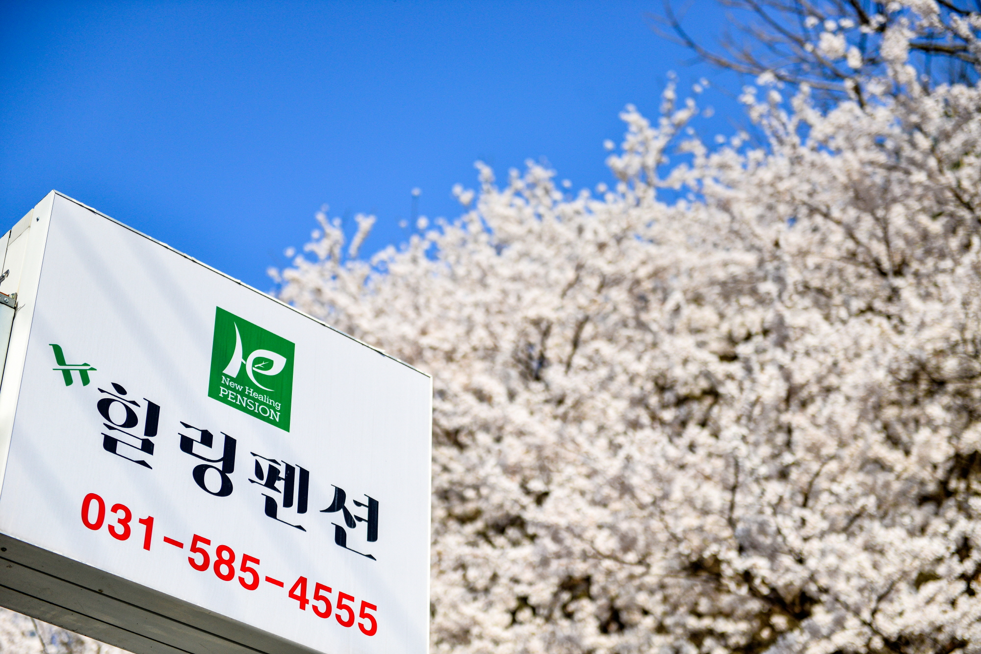 뉴힐링스파펜션