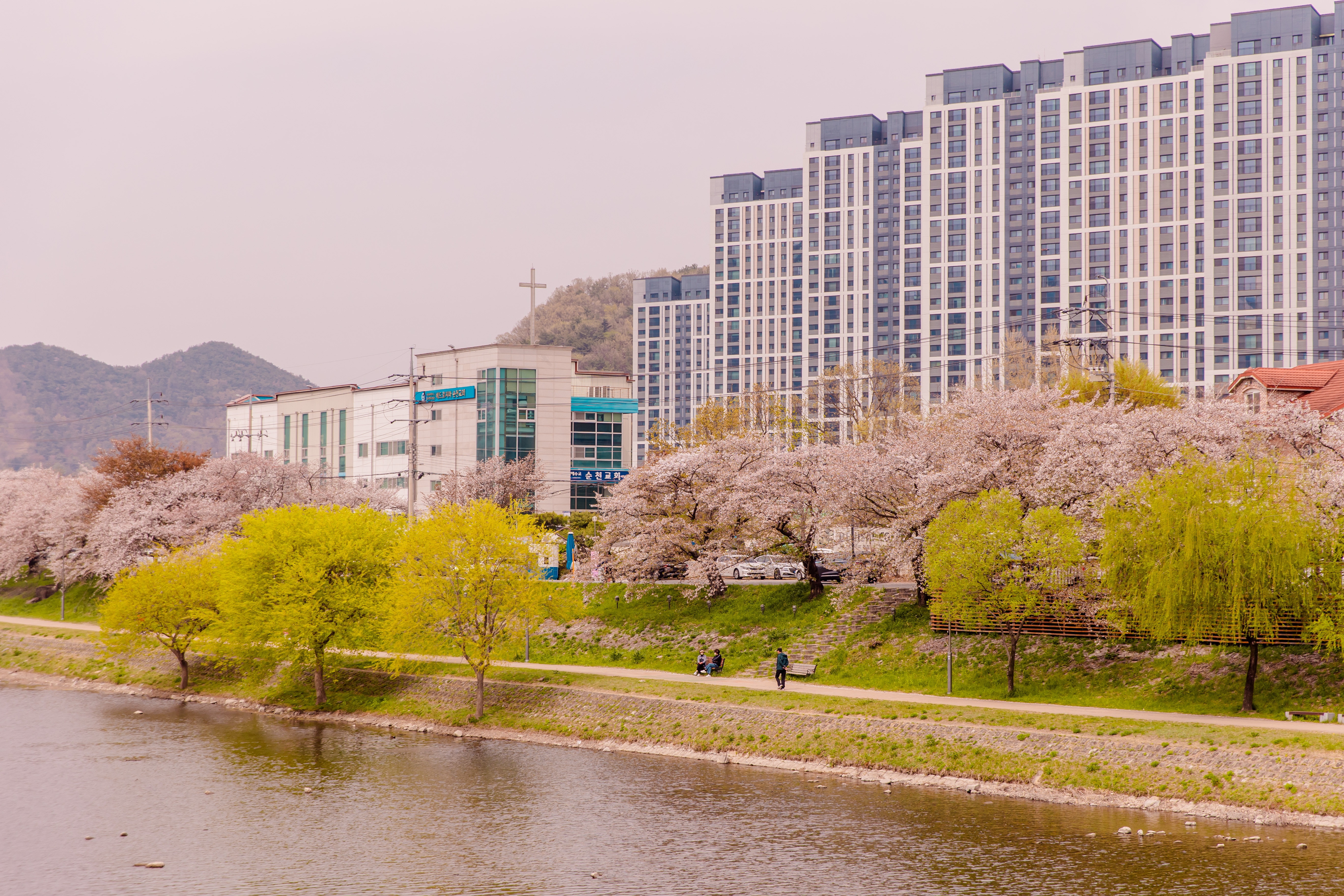 레지던스삼우