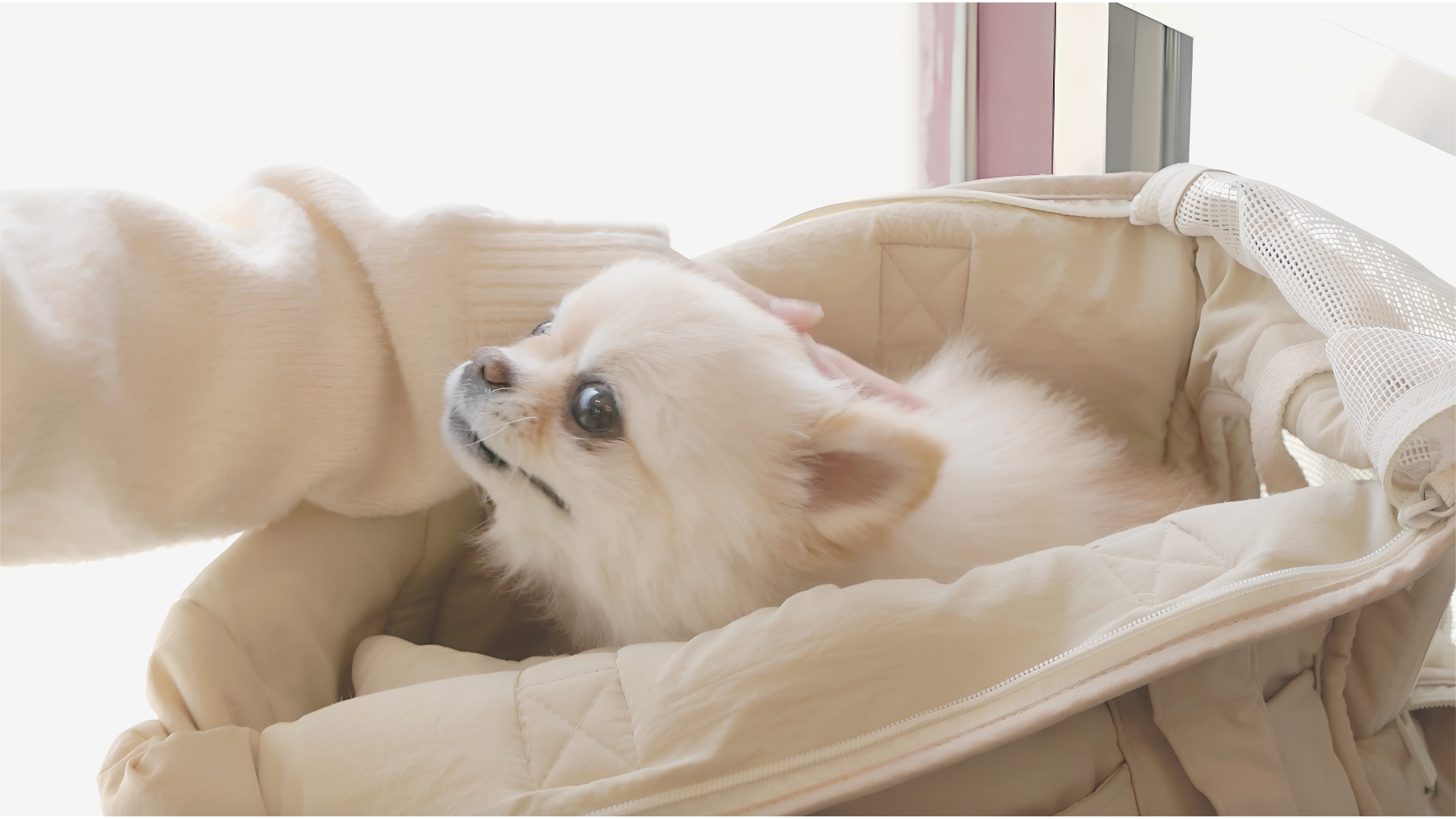 24시 품 동물의료센터 대표 이미지