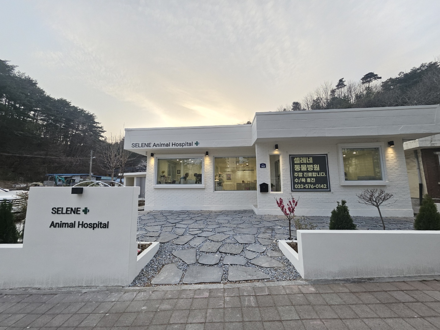 셀레네동물병원