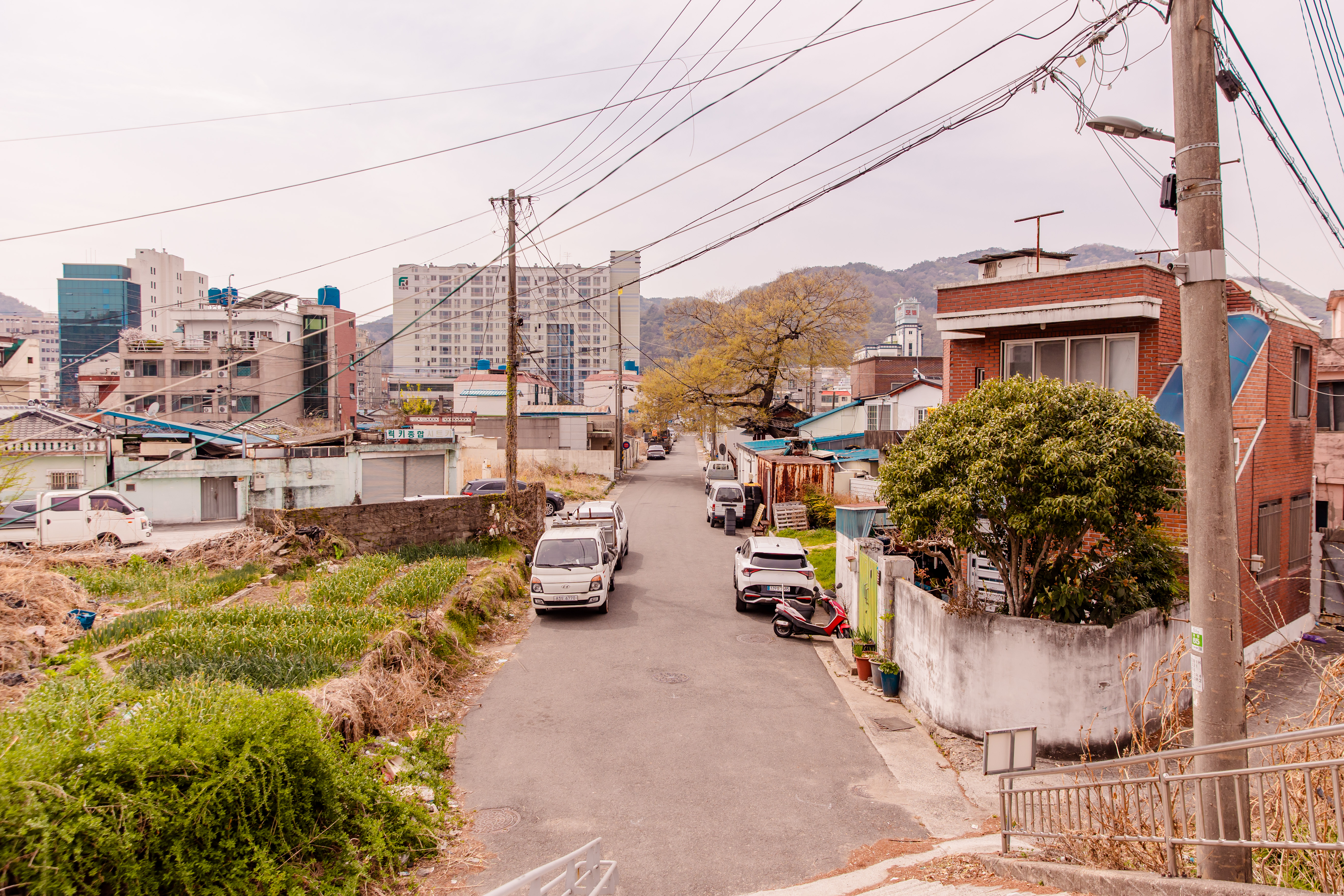레지던스삼우