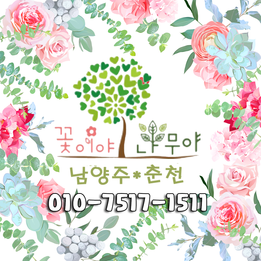 꽃이야나무야 남양주춘천