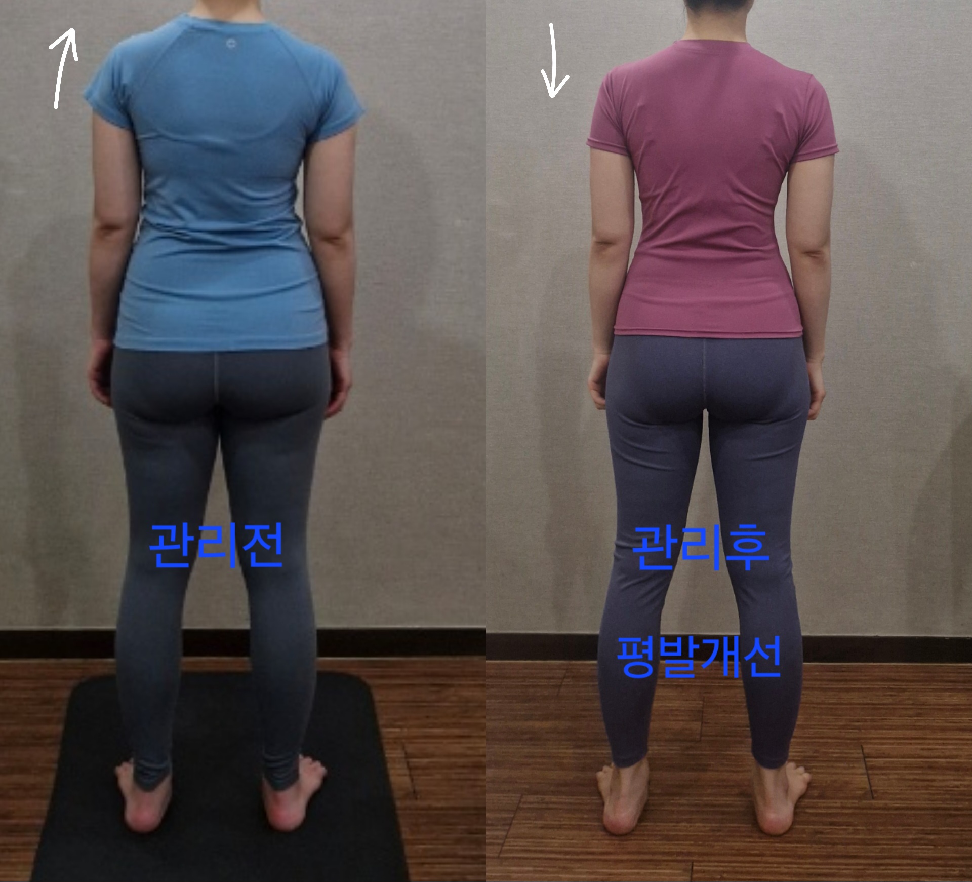 라파엘바디 photo 5