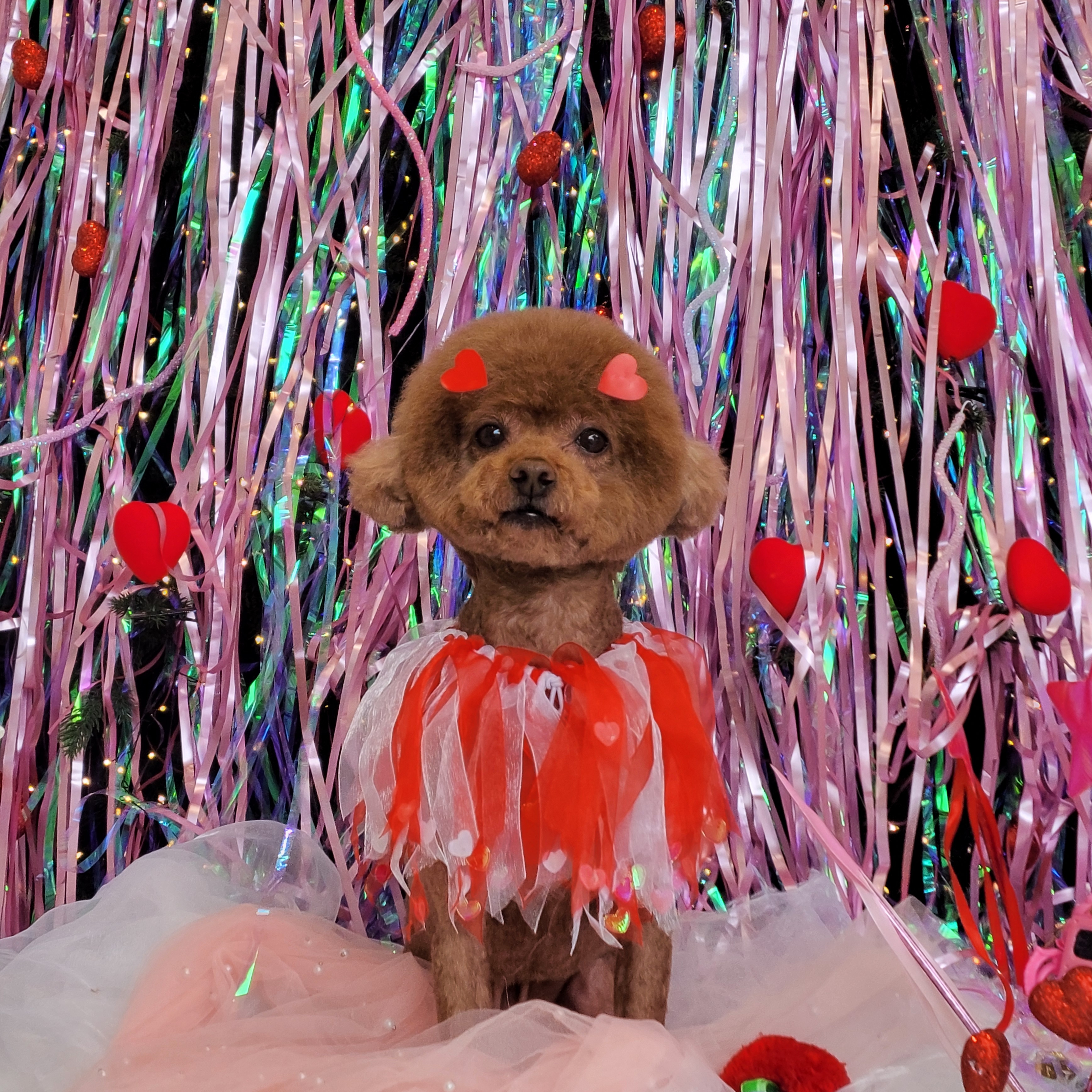 몽몽미용실 대표 이미지