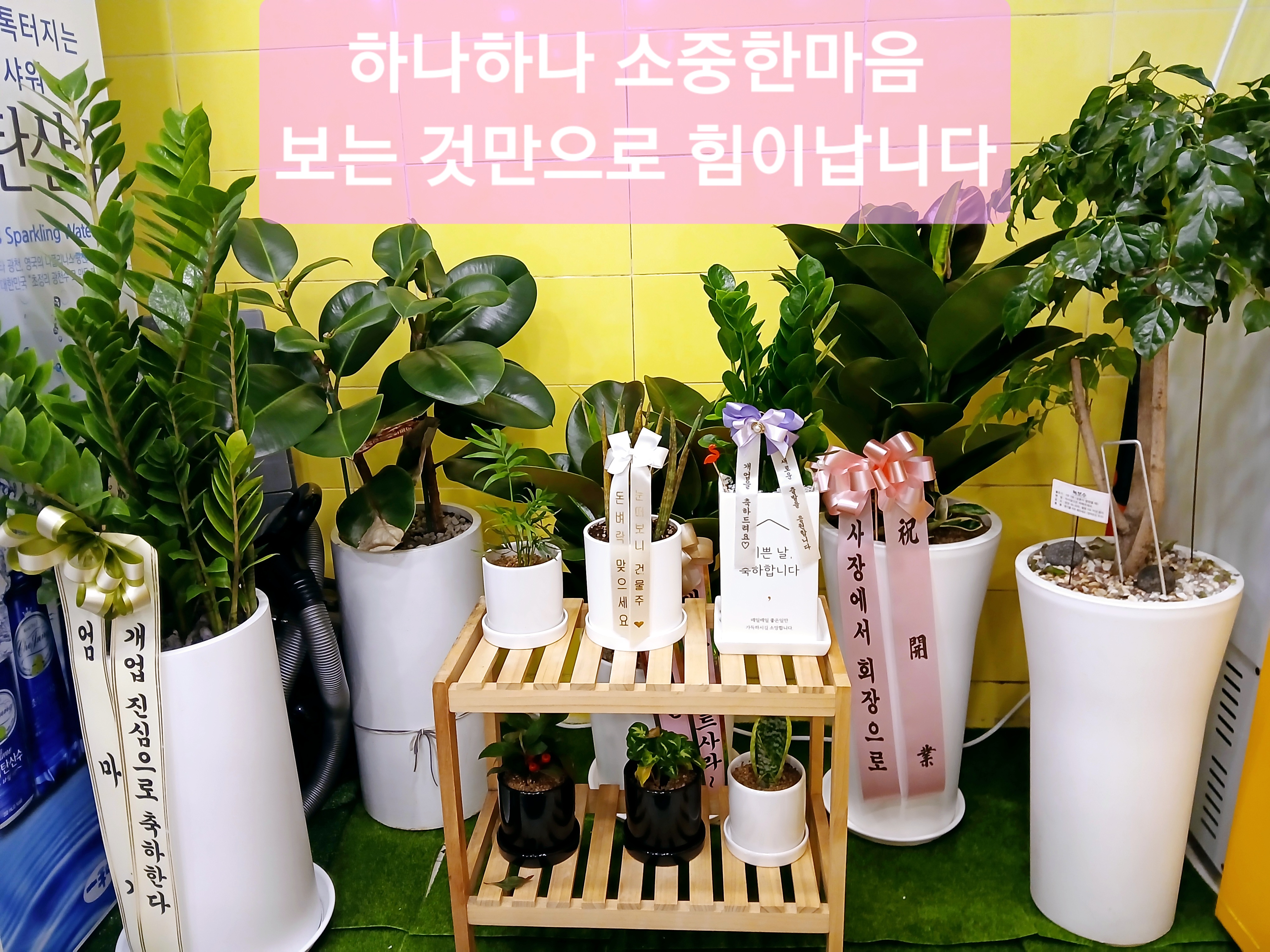 명가멸치국수충무김밥