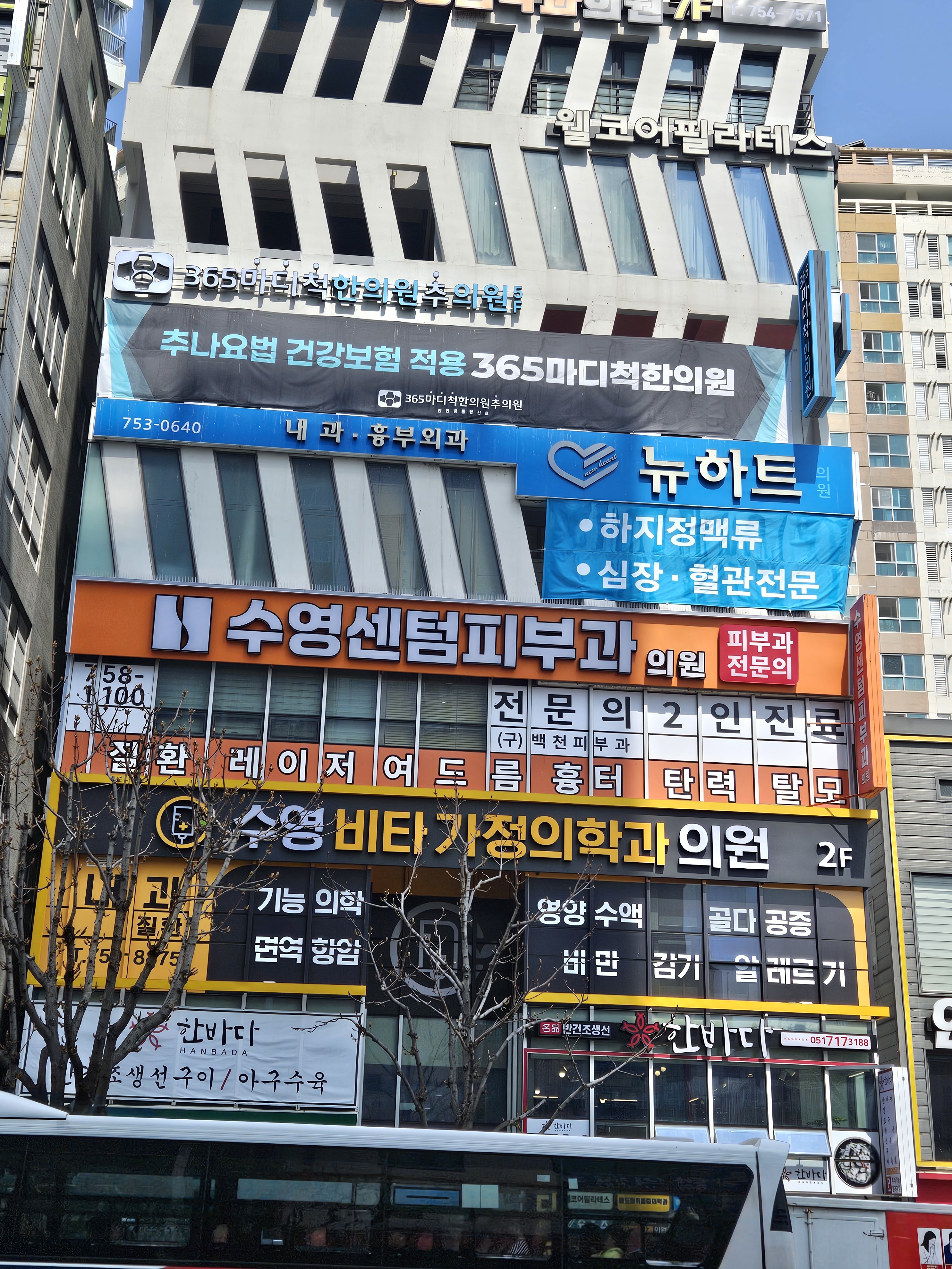 365마디척한의원추의원