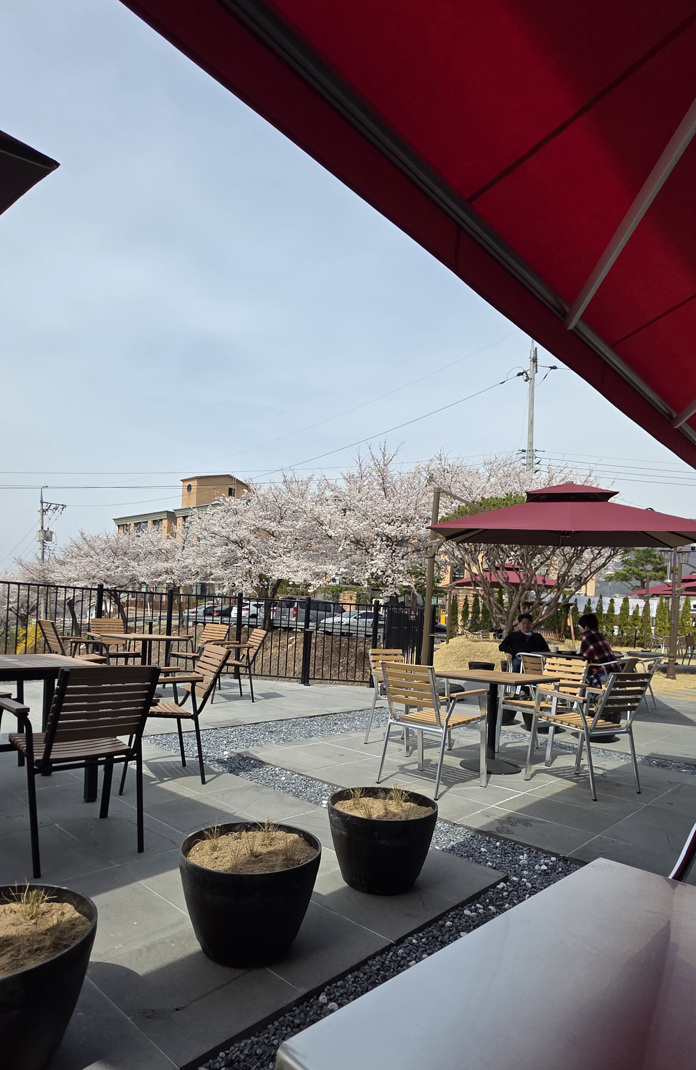 Cafe남산422 설명사진