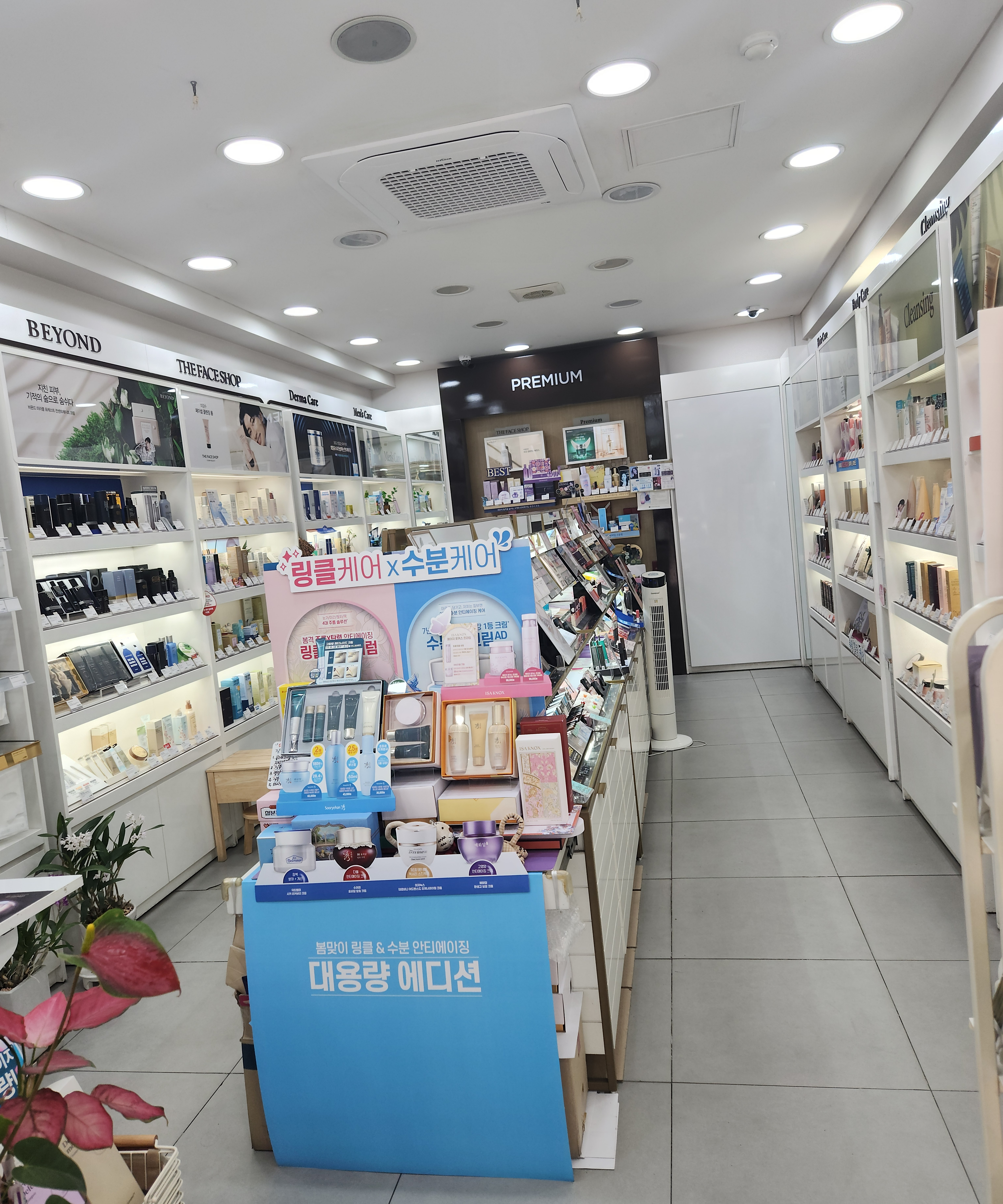 네이처컬렉션 전주서신점