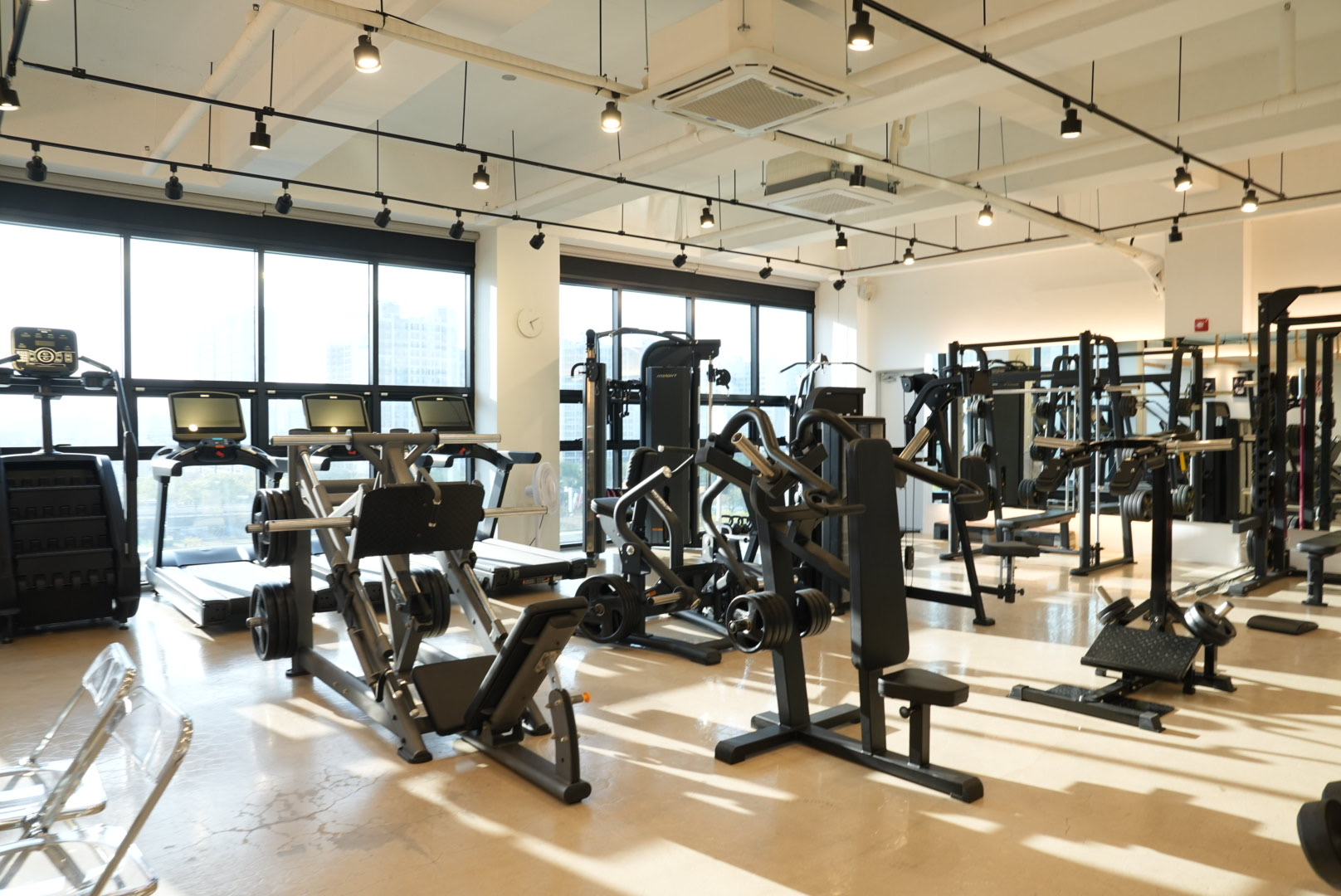 핏라인 대표 이미지