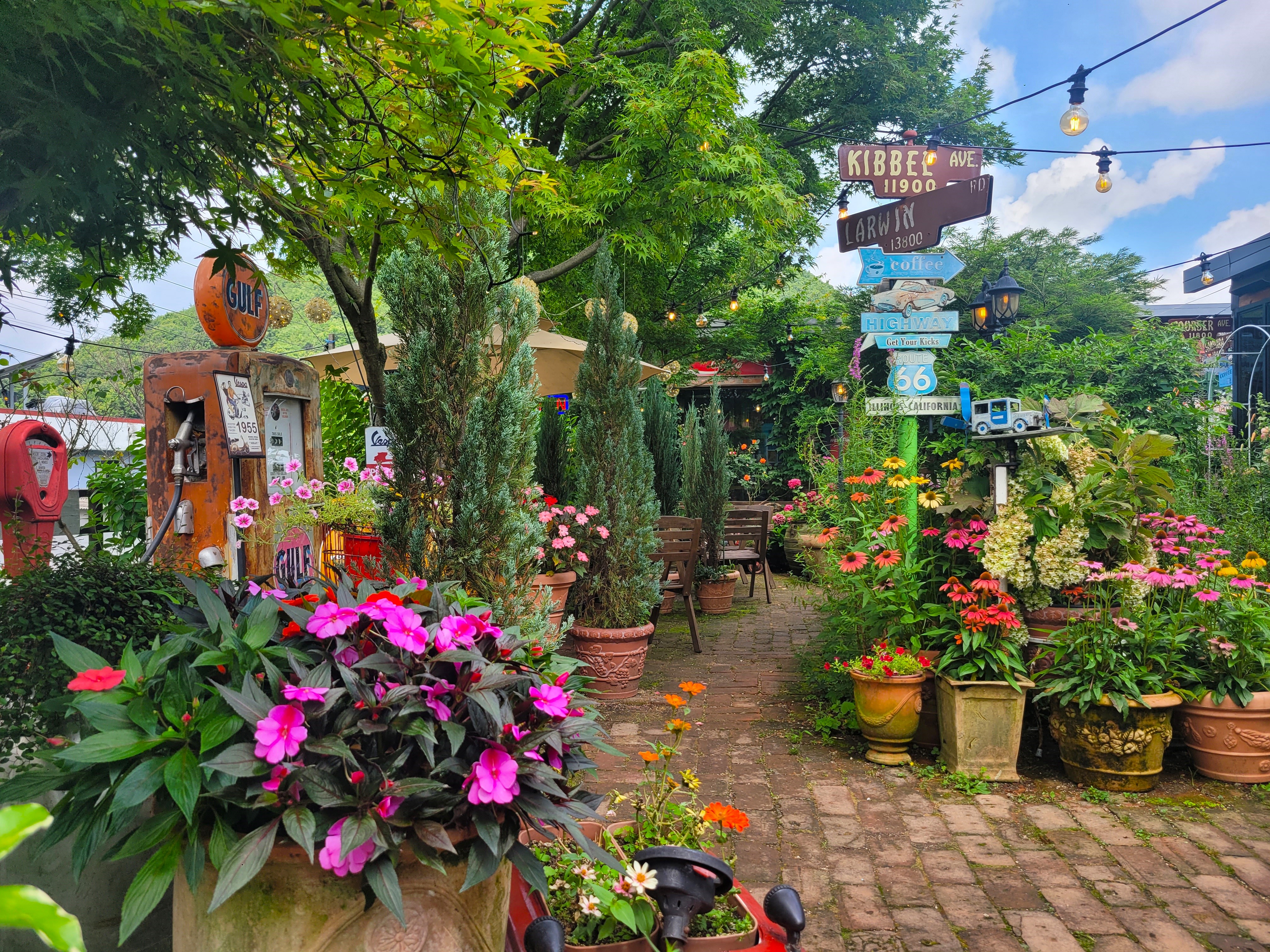 트리인블루 대표 이미지