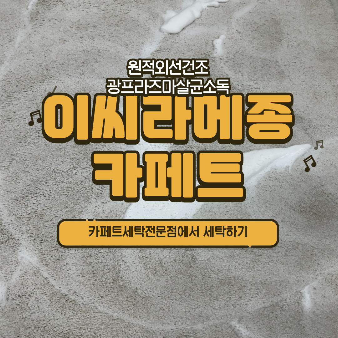 매직카페트클리닝 종로은평서대문 대표 이미지
