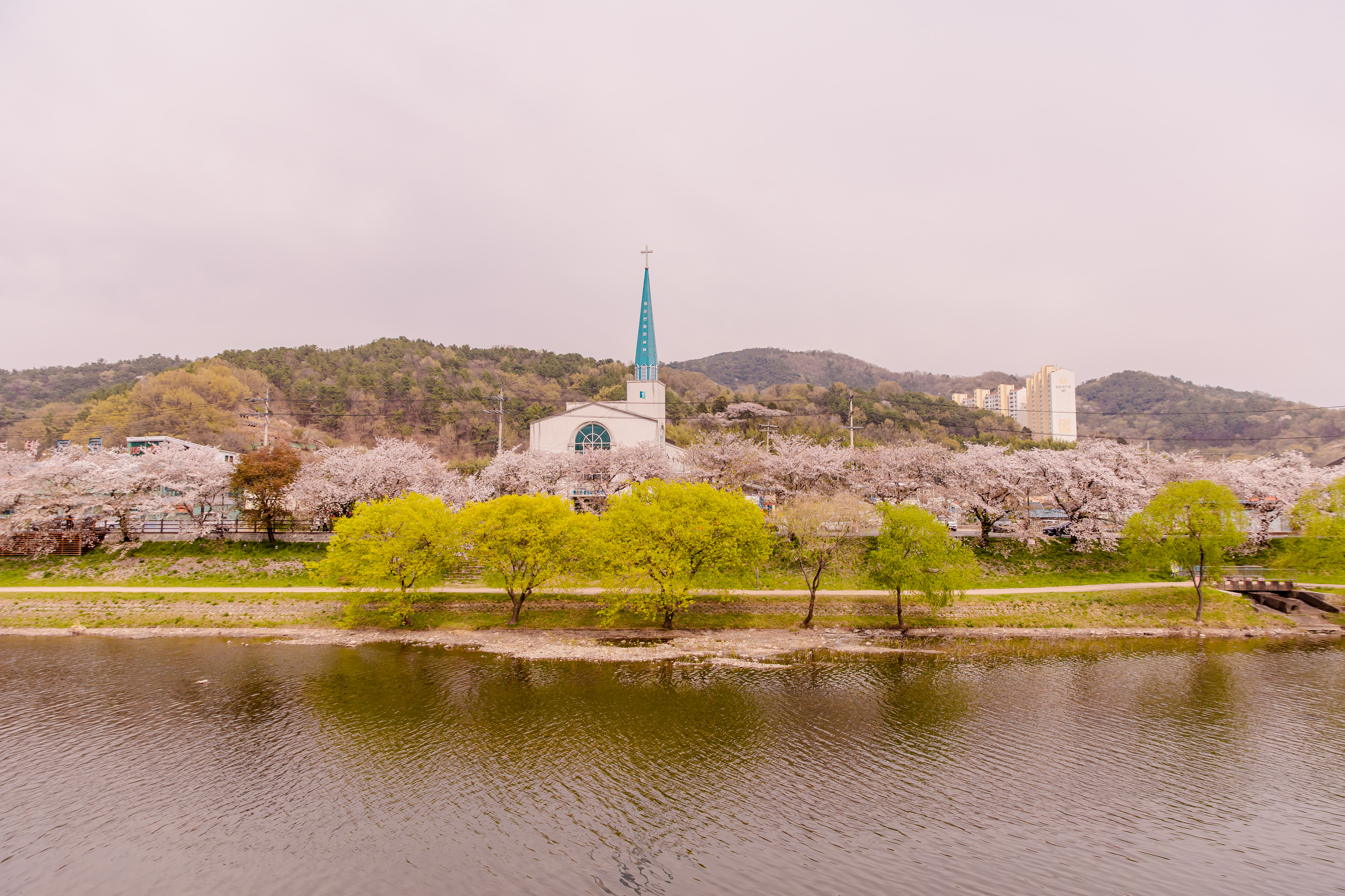 레지던스삼우