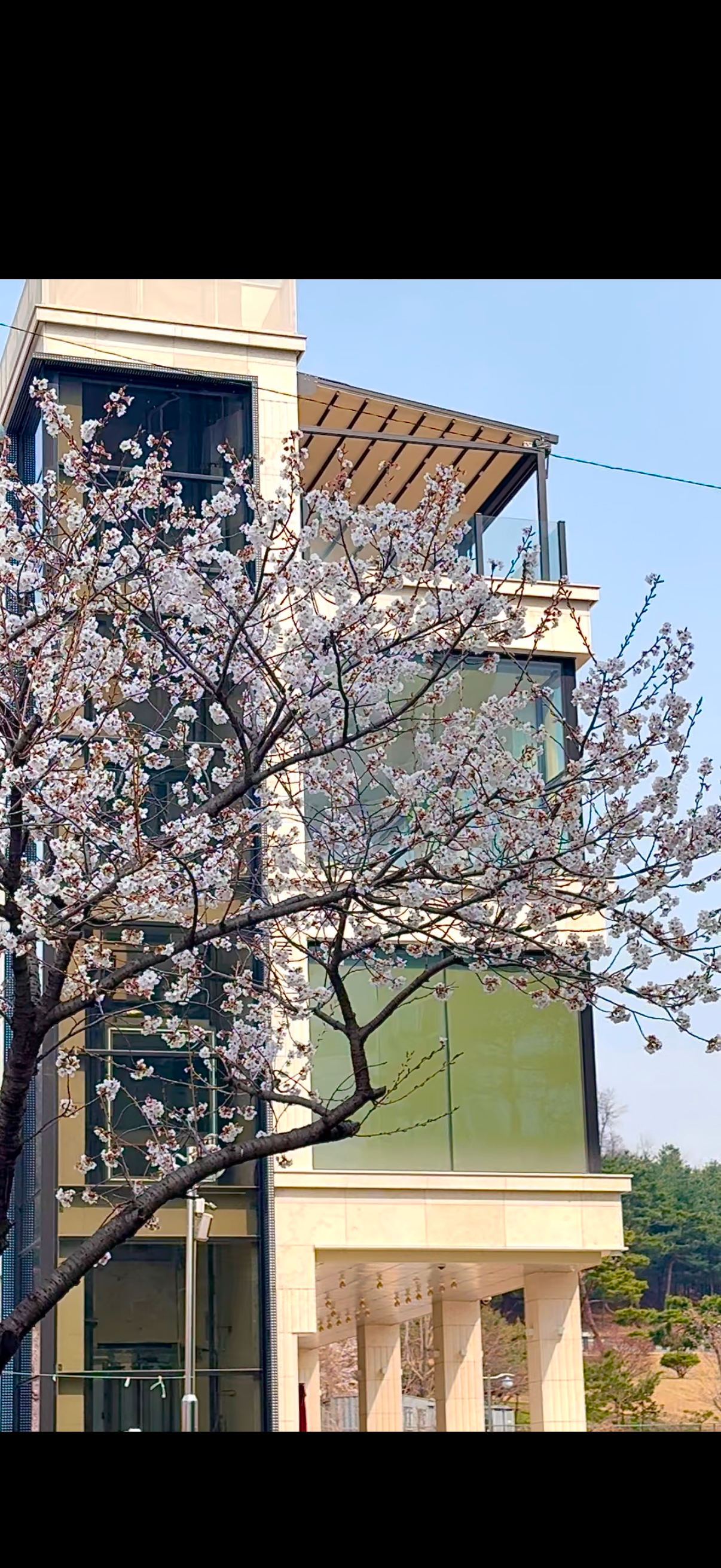 카페 아리온