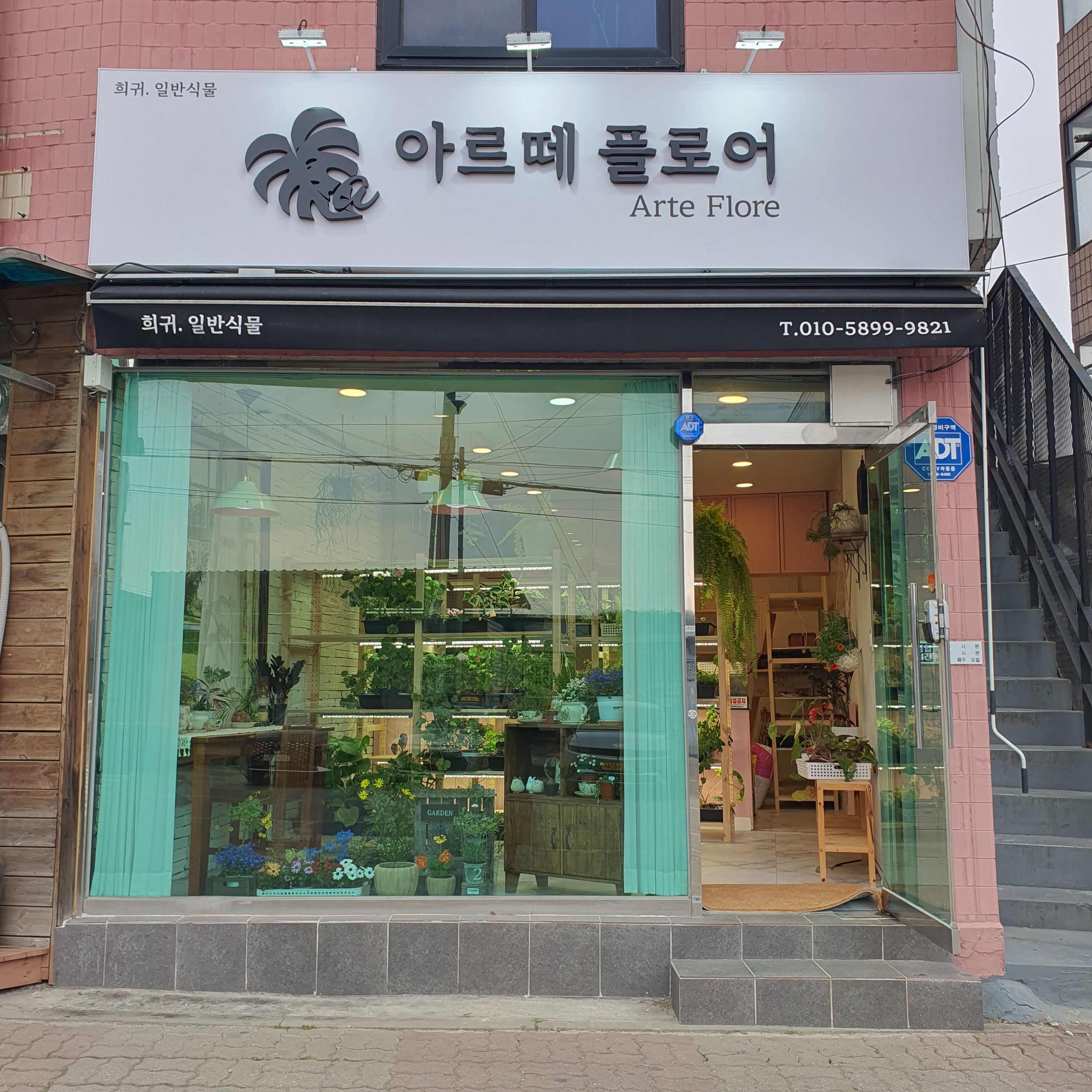 아르떼플로어