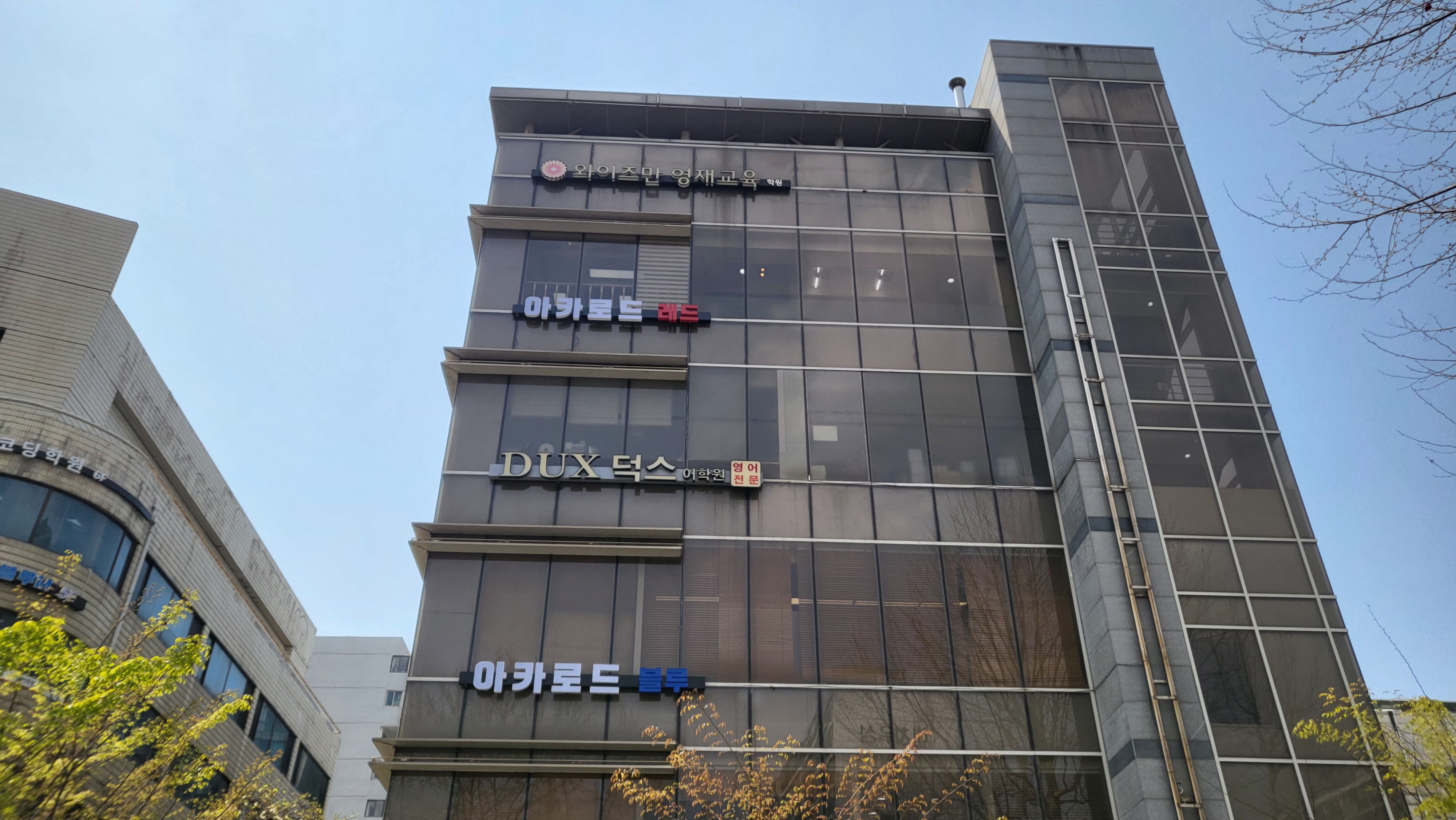 아카로드 블루