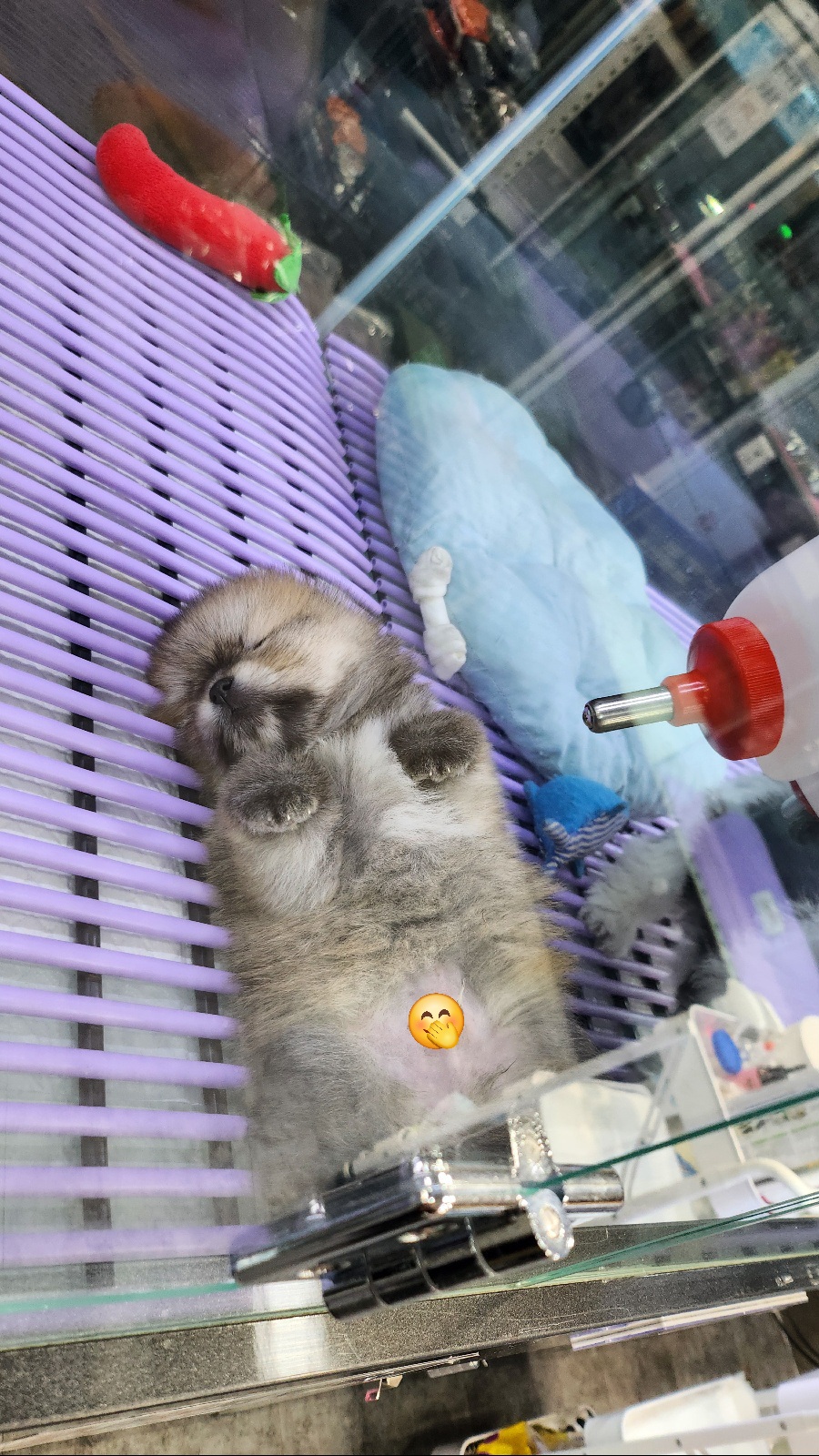 야옹아멍멍해봐 제천점 대표 이미지