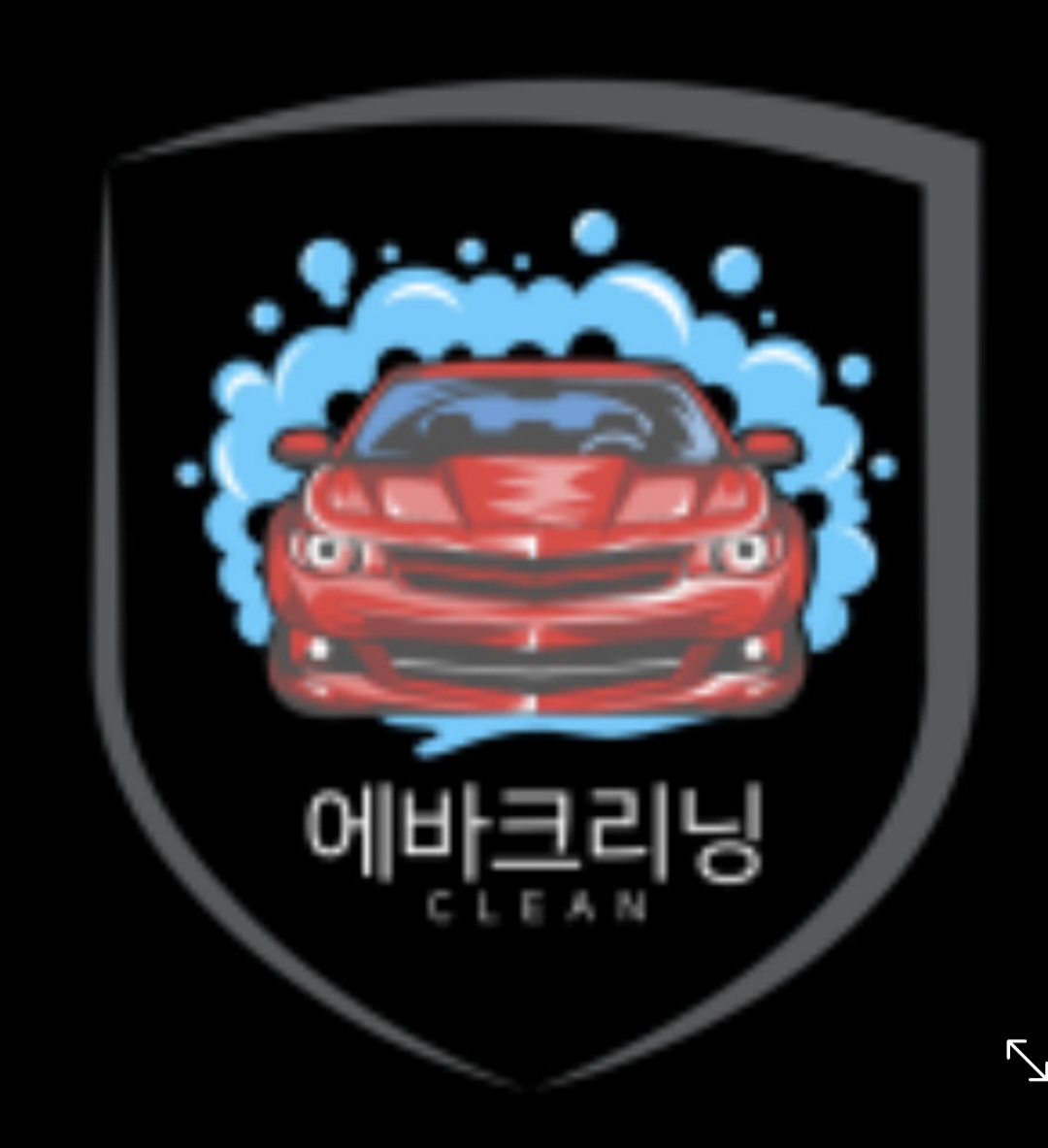 고고디테일 손세차스팀세차