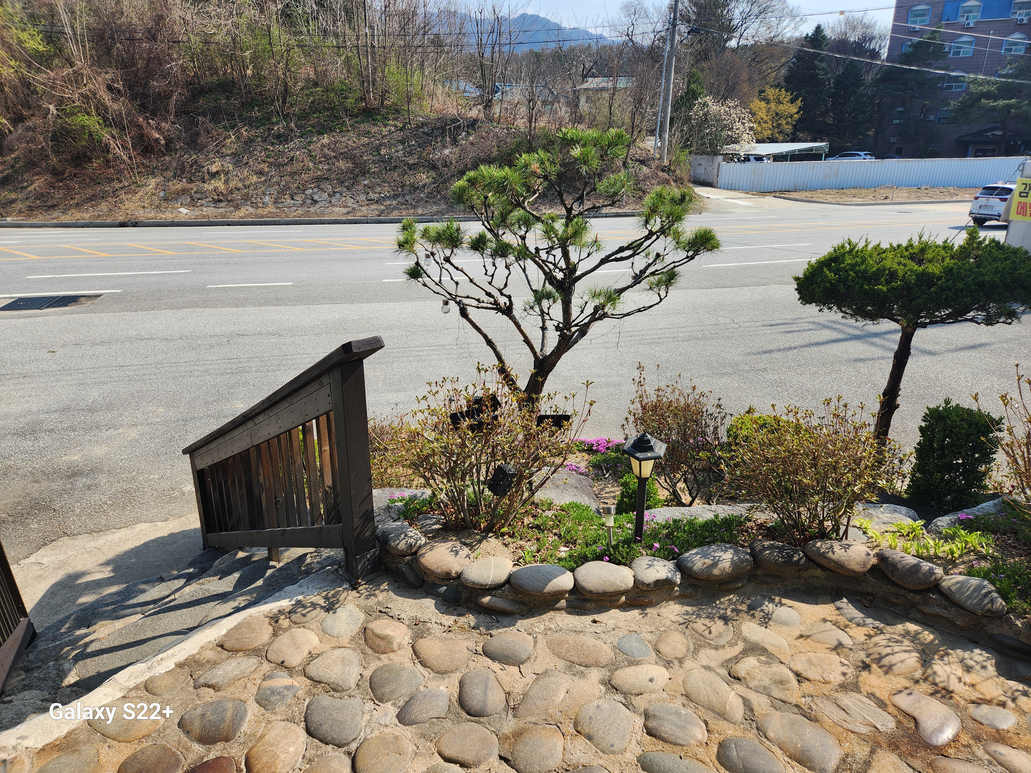 도림막국수