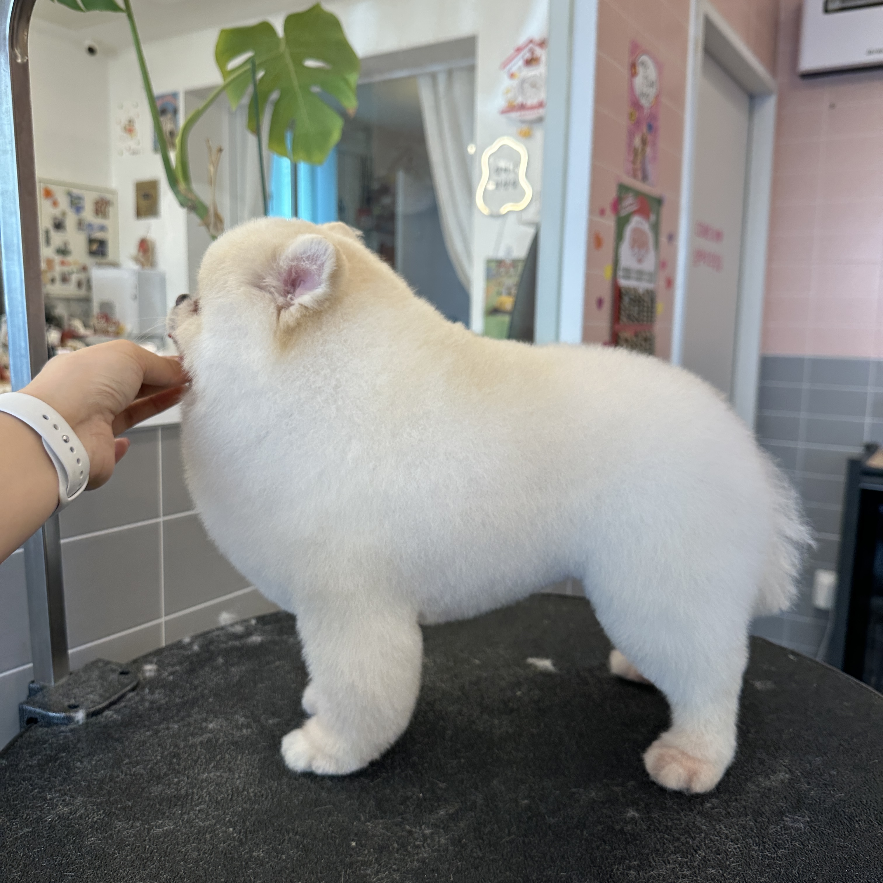 티몬이네 목욕탕 대표 이미지