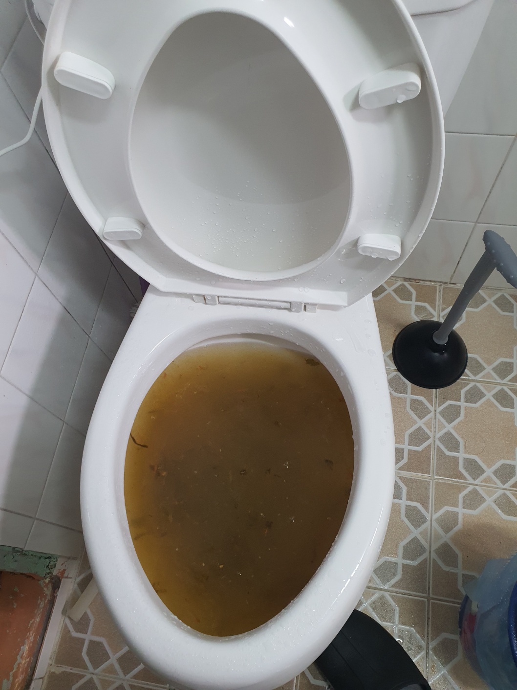 변기막힘