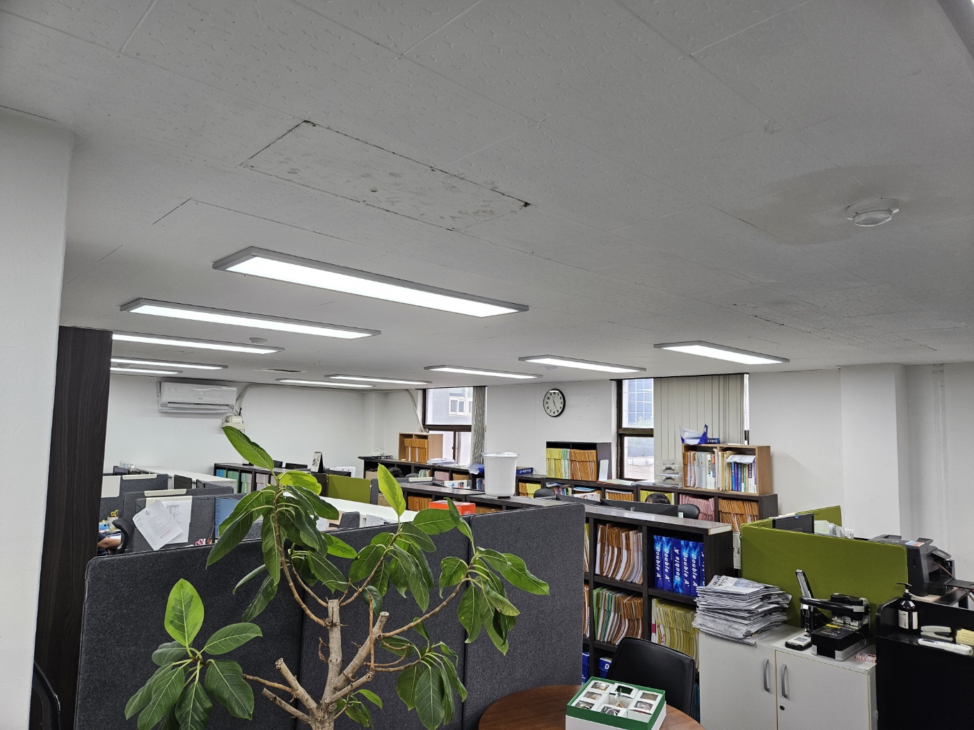 세무법인 넥스트 서초지점 대표 이미지