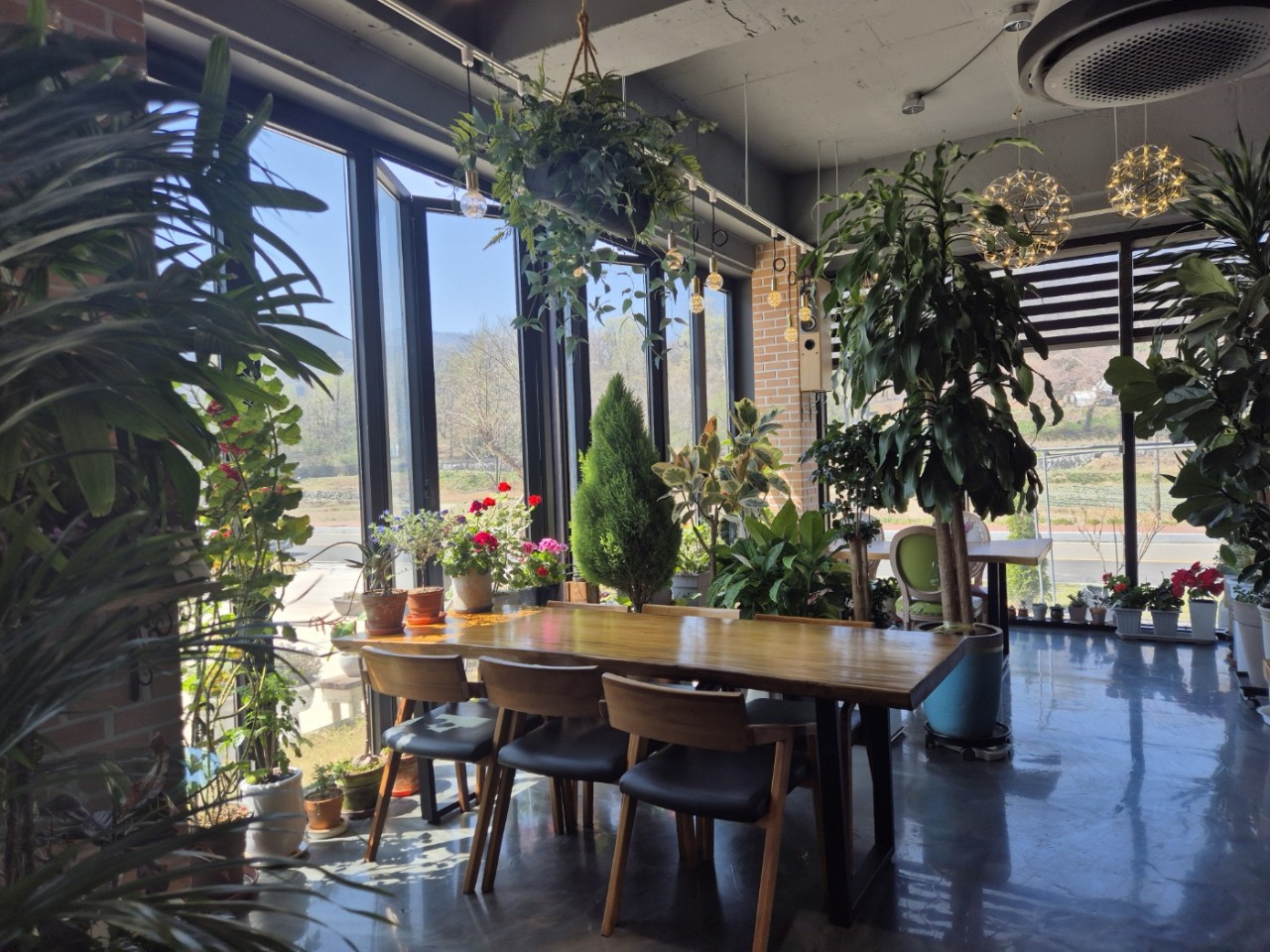 카페제라늄 대표 이미지